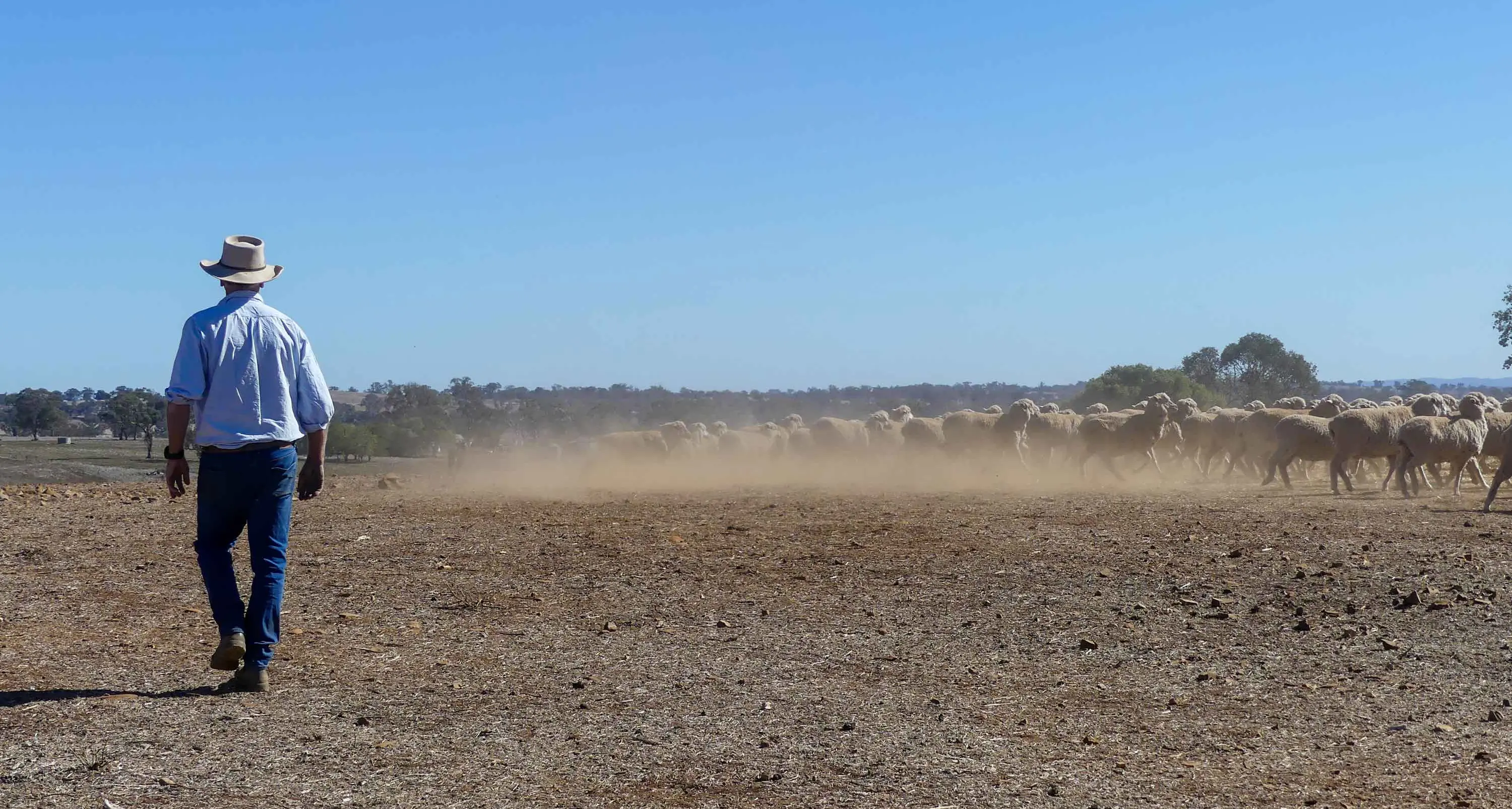 'Trying times': farmers stare down trifecta of troubles