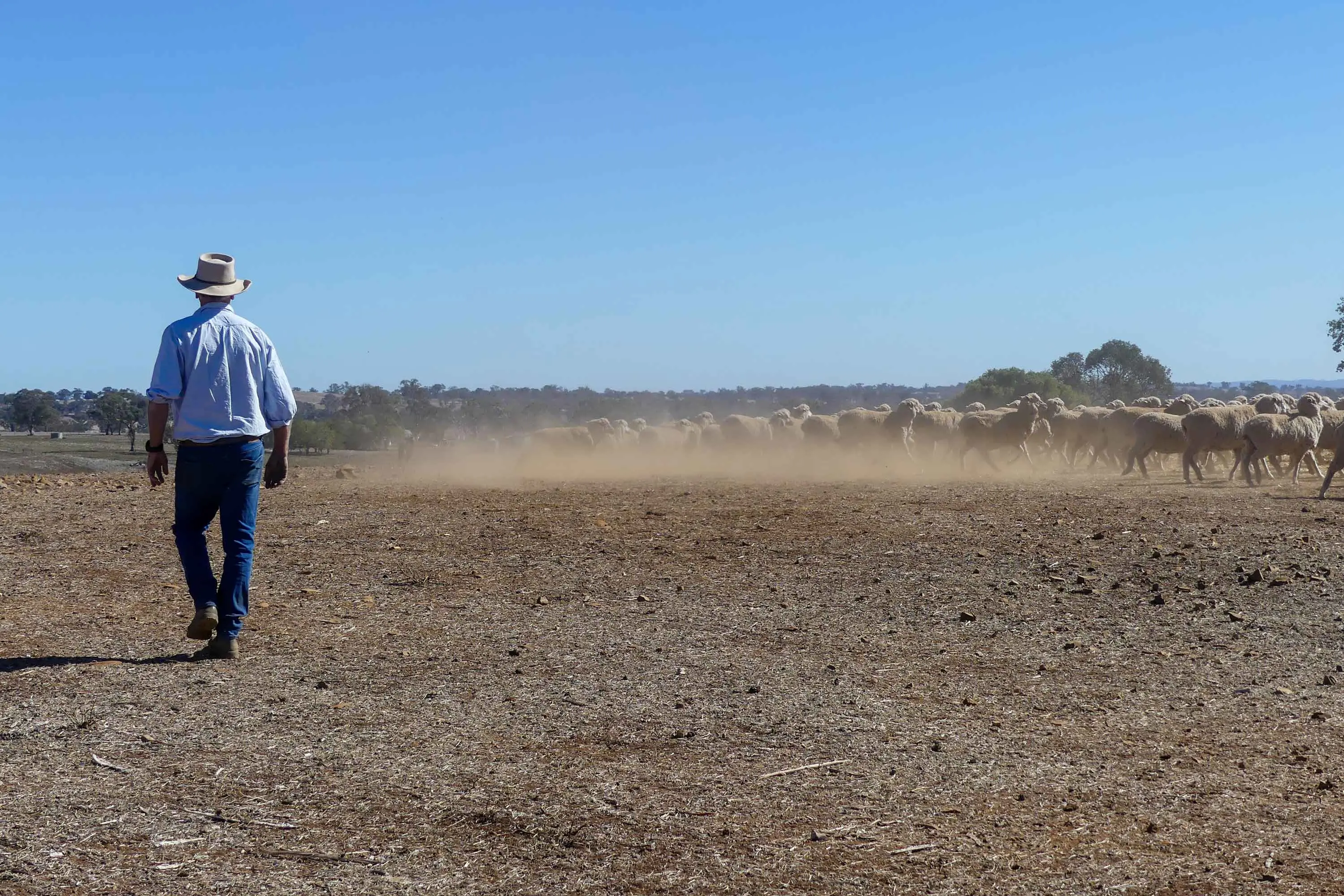 'Trying times': farmers stare down trifecta of troubles