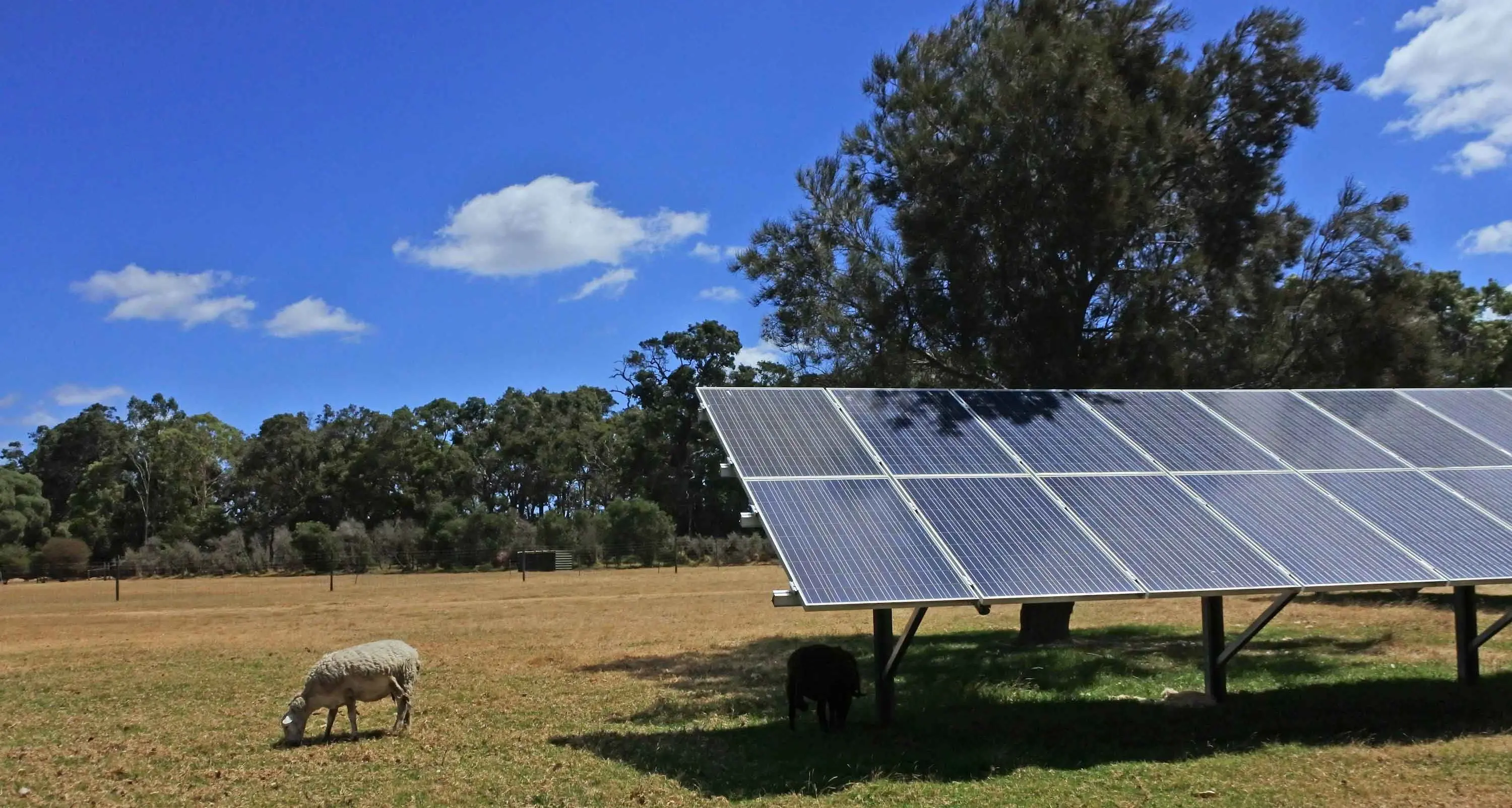 Sunny west’s solar use could save our farmland: Saunders