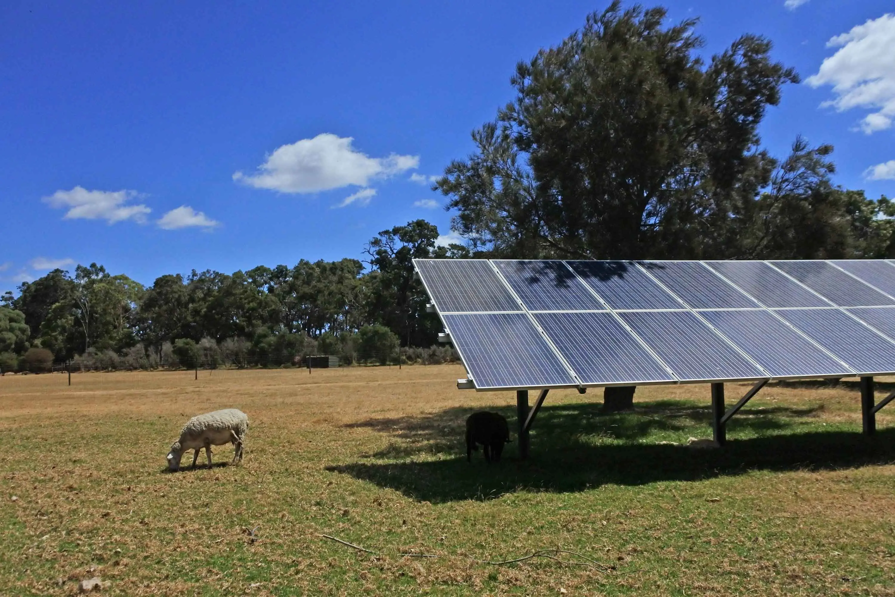 Sunny west’s solar use could save our farmland: Saunders