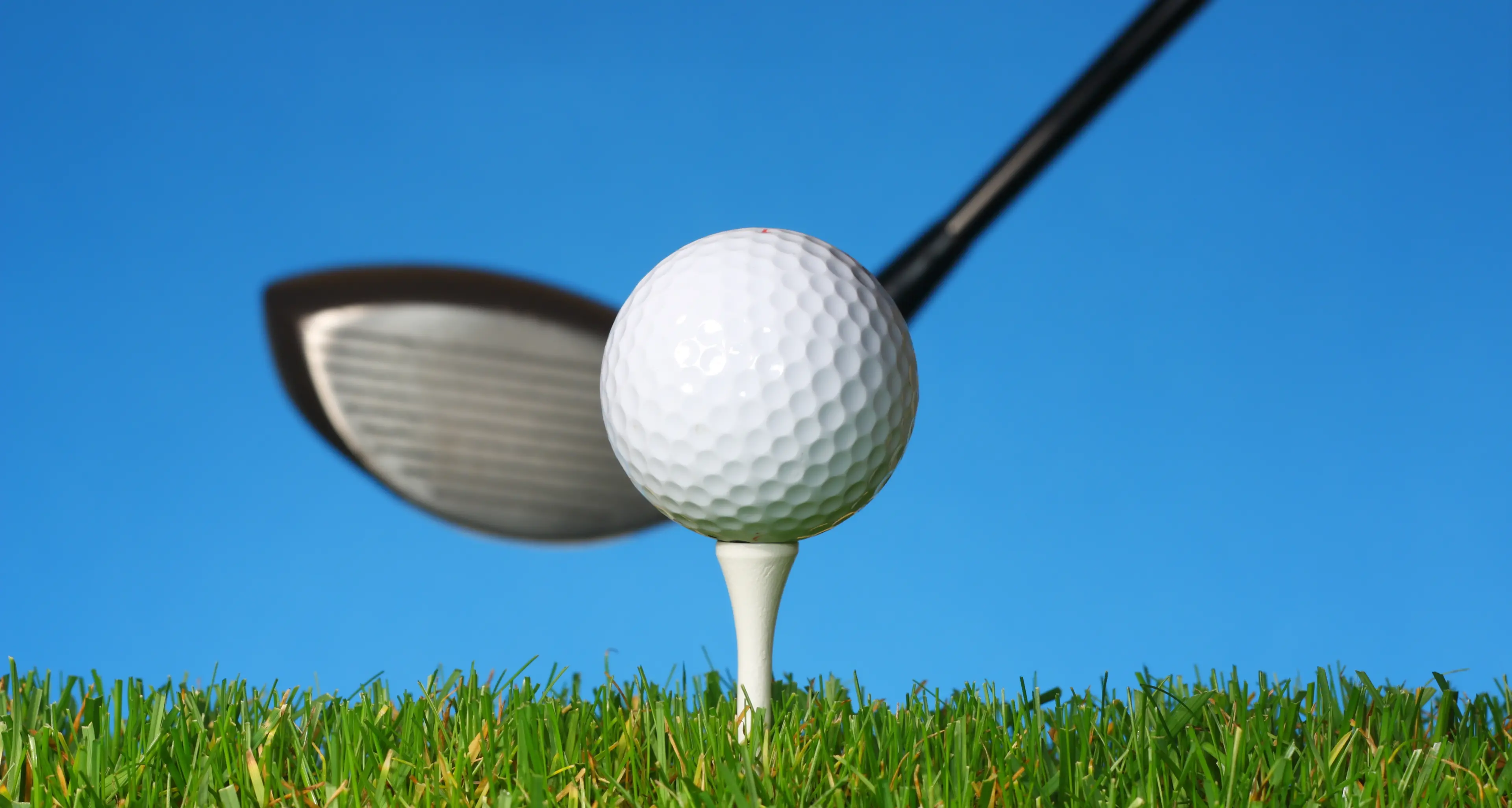 Wentworth Ladies shine in Western District Spoon event