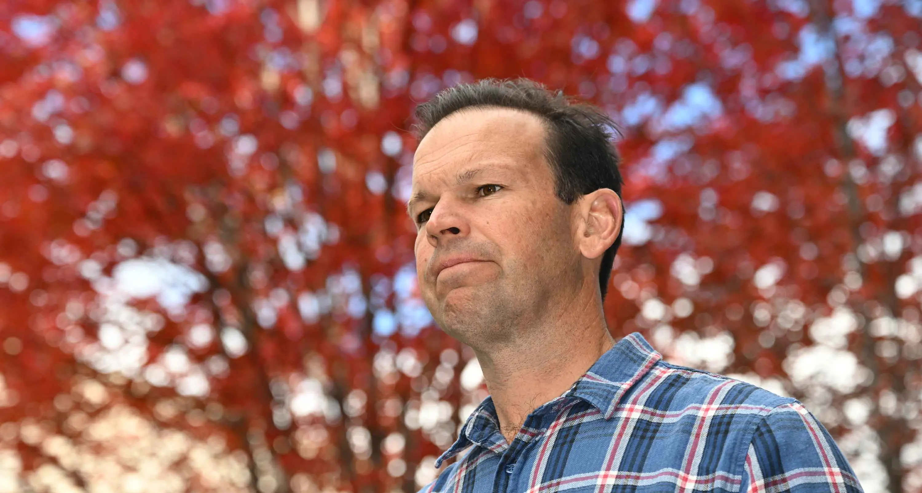 Inland Rail project axing pulls 'economic rug' from regions