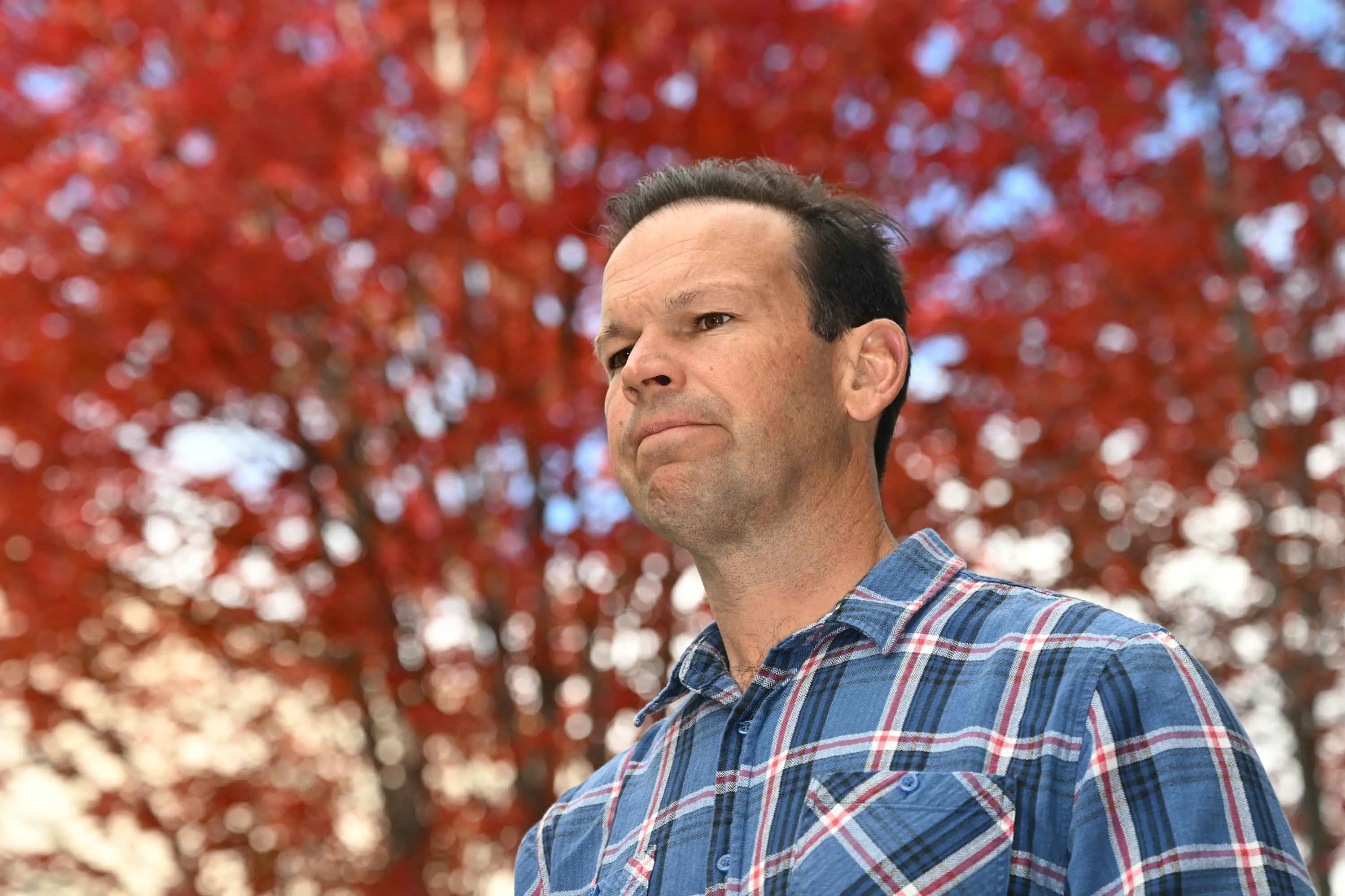Inland Rail project axing pulls 'economic rug' from regions