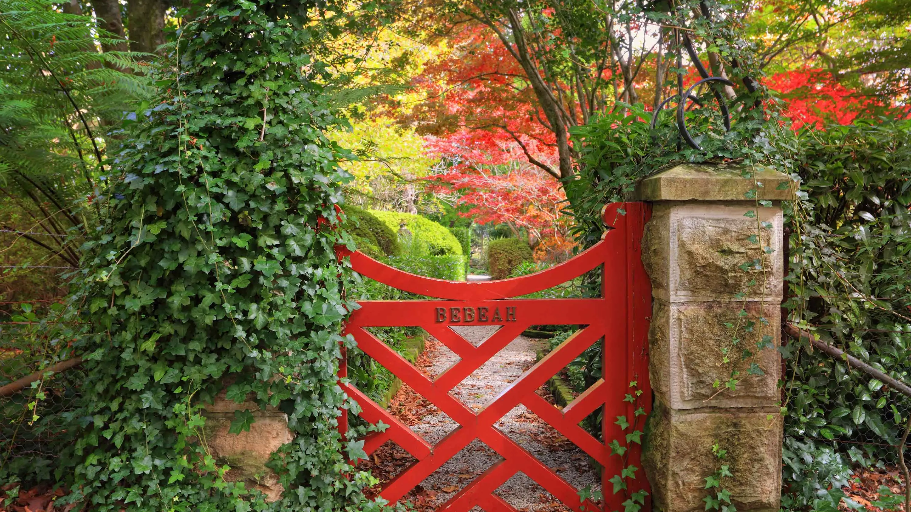 Budding young writers invited to celebrate a grandfriend’s garden in new competition