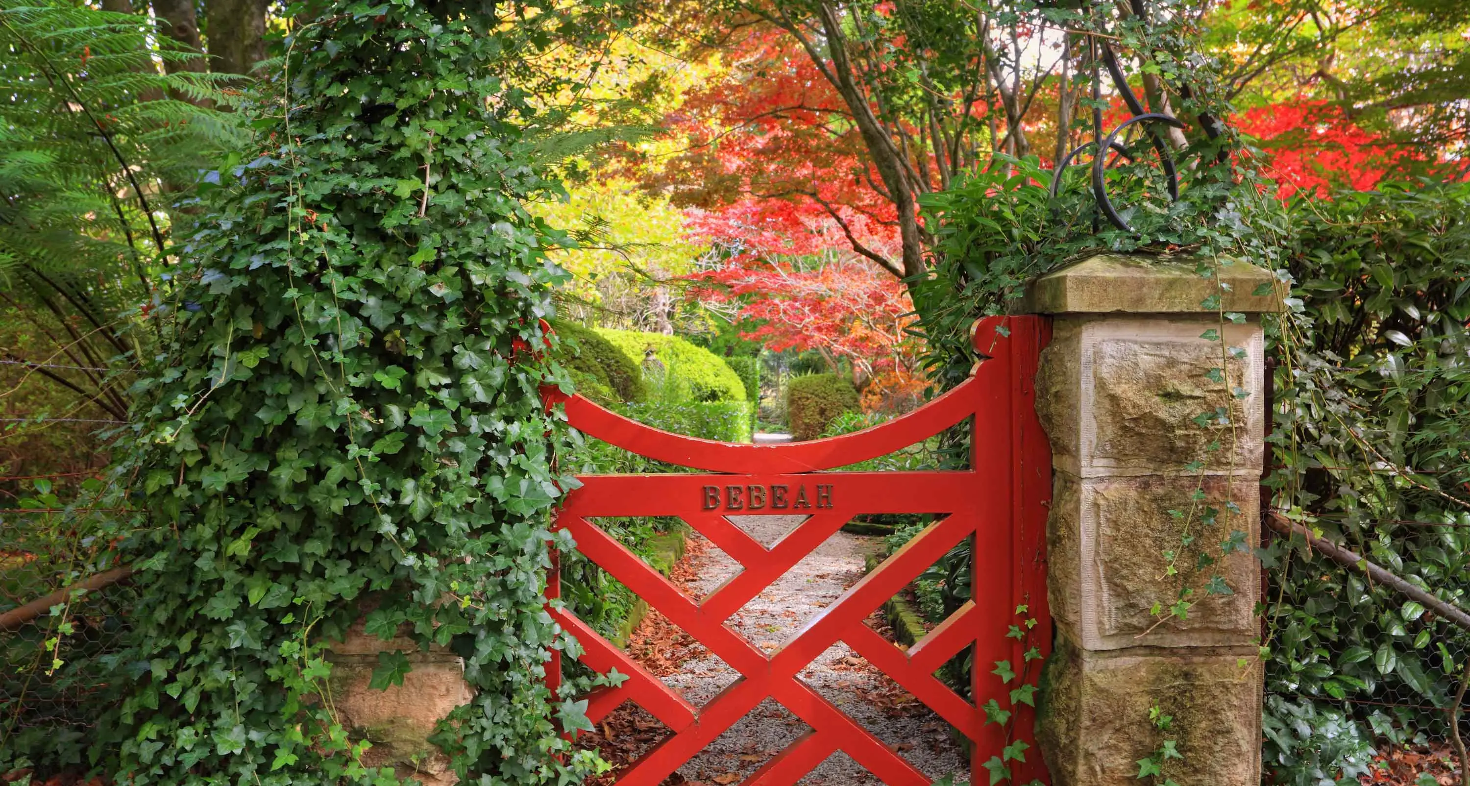 Budding young writers invited to celebrate a grandfriend’s garden in new competition