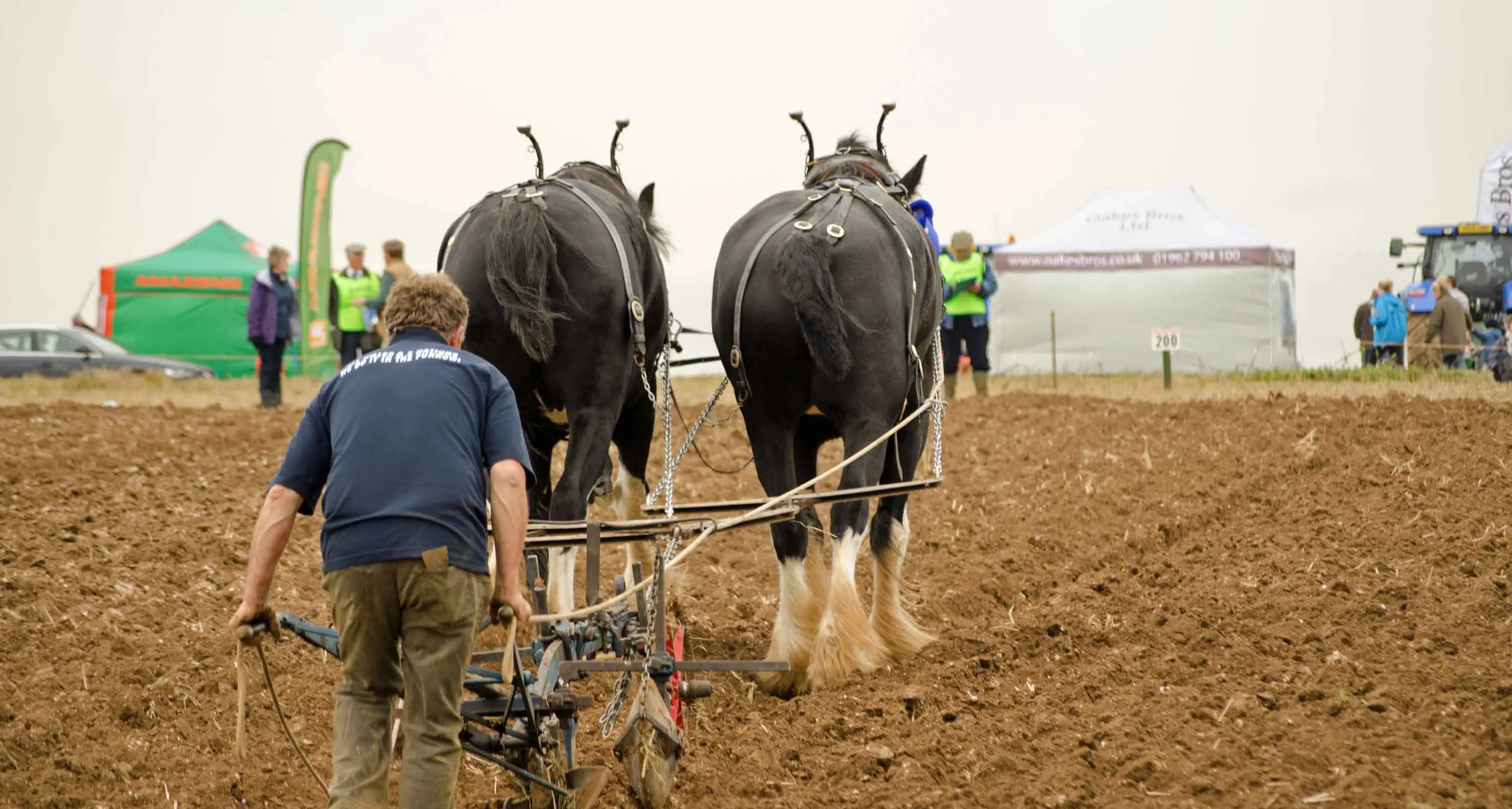 Golden half-century, as ploughing competition seeks Orange teams