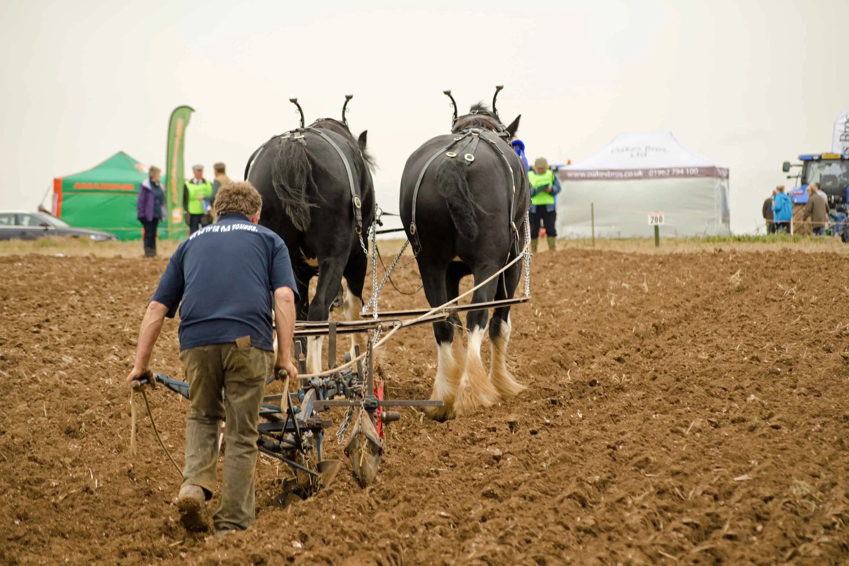 <p>For some entrants, a ploughing competition means strong family connections and pride in ploughing a straight furrow. Photo: Bigstockphoto</p>\\n