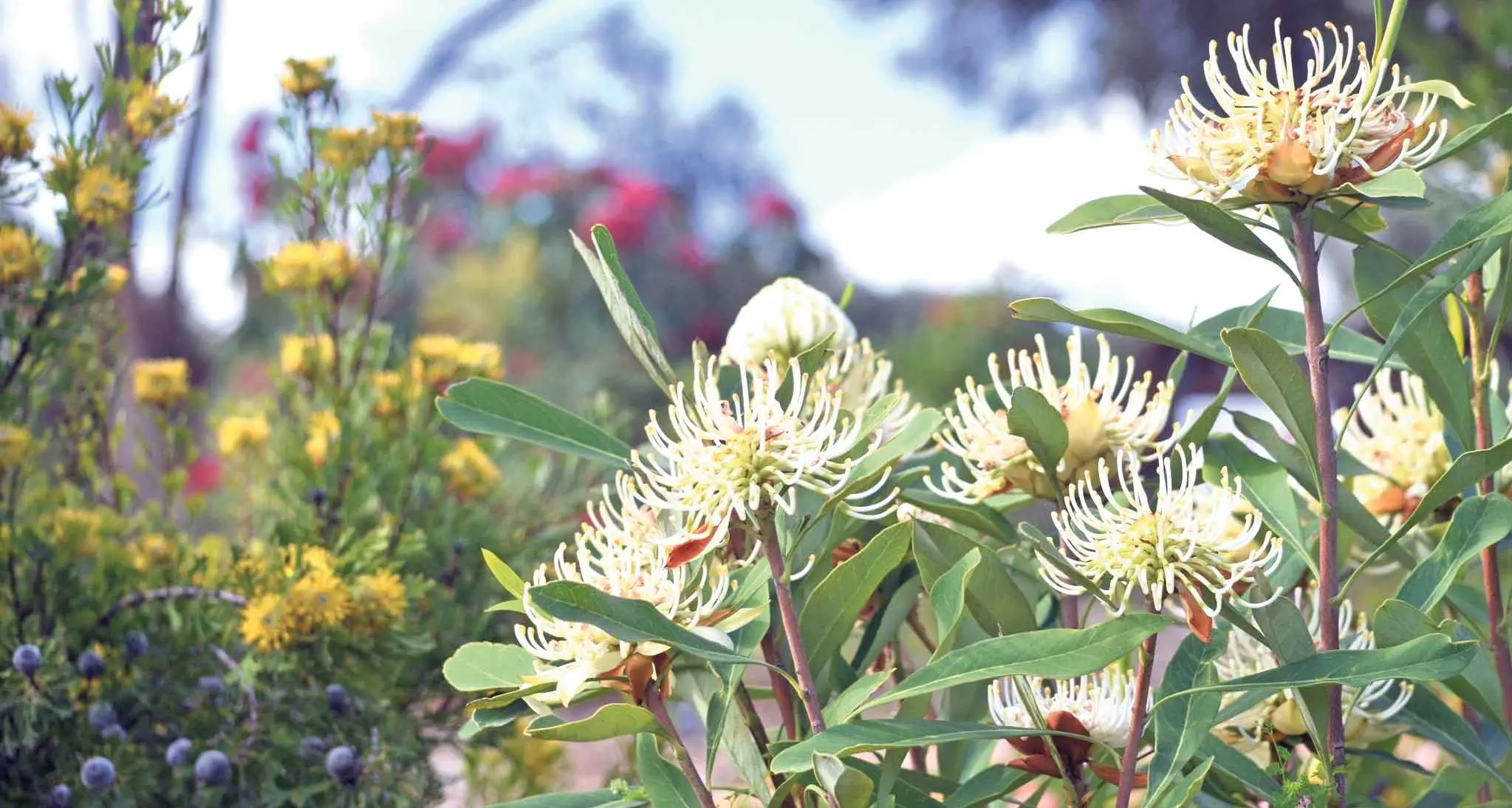 Naturalistic gardens emerge as one of the biggest outdoor living trends for 2026