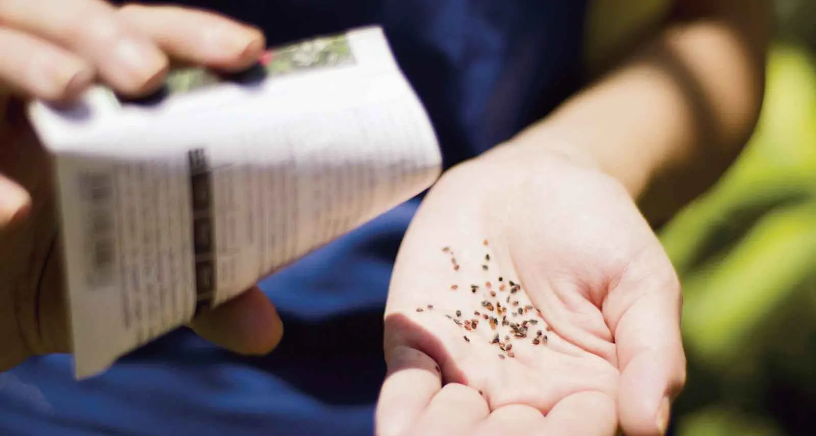 Seed packet labels hold the key to a successful backyard harvest