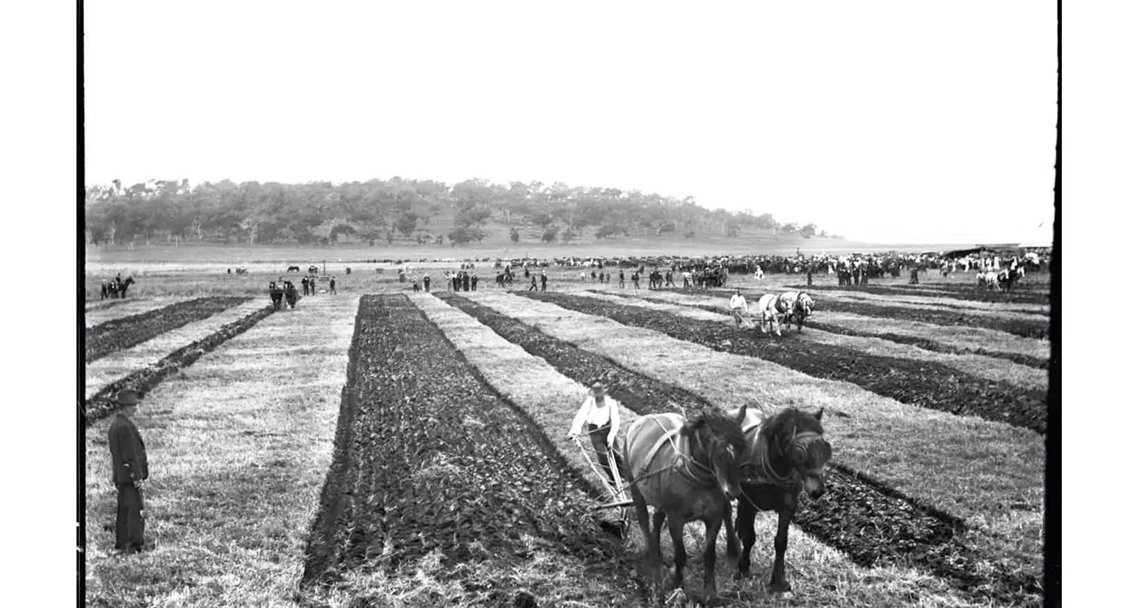 Not a lonely furrow: Events were a precursor for modern ag shows