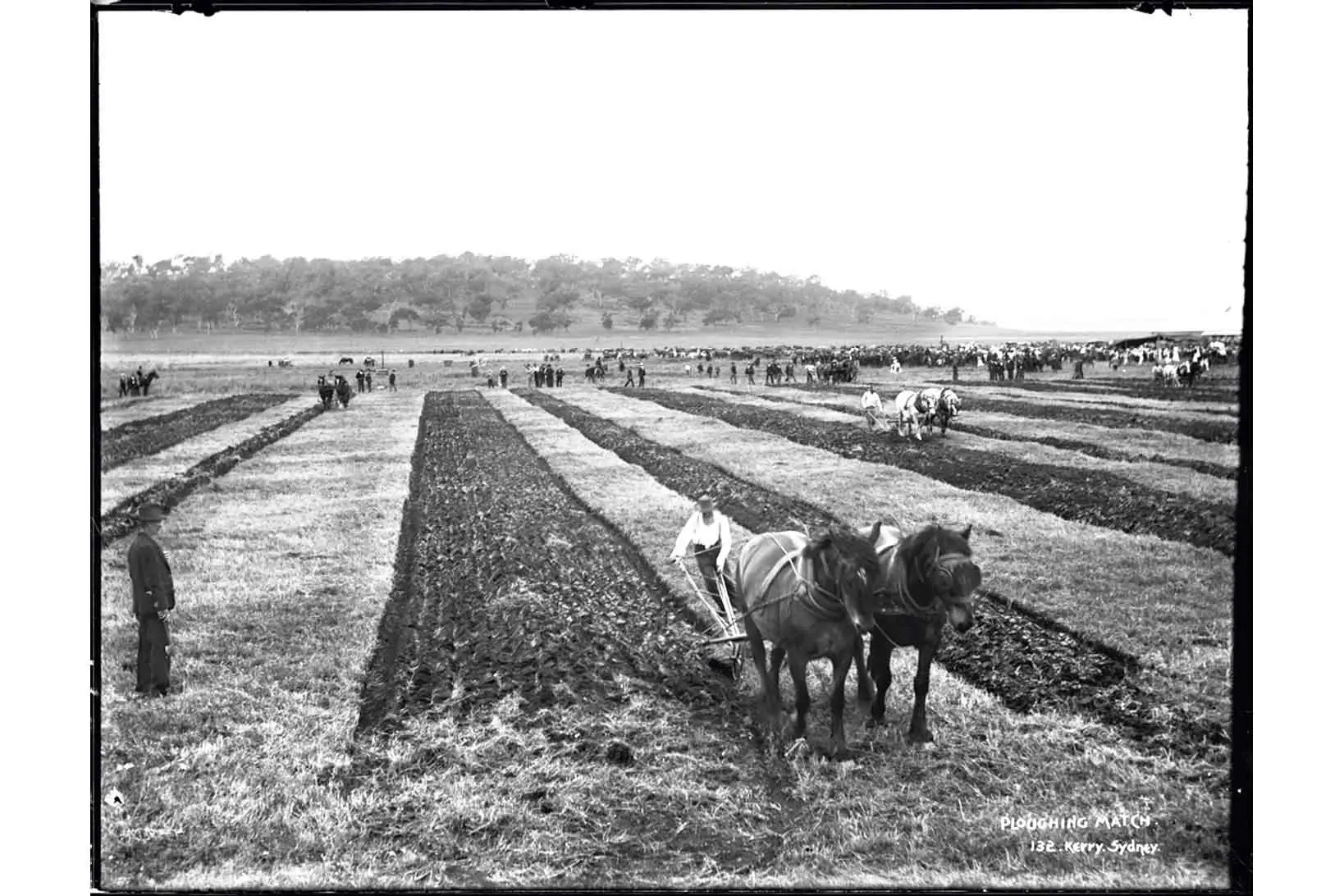 <p>Ploughing competitions first became popular in the early 19th century and often formed the precursors to modern agricultural shows. Photo: Tyrrell Photographic Collection, Powerhouse Museum, Wikicommons.</p>\\n