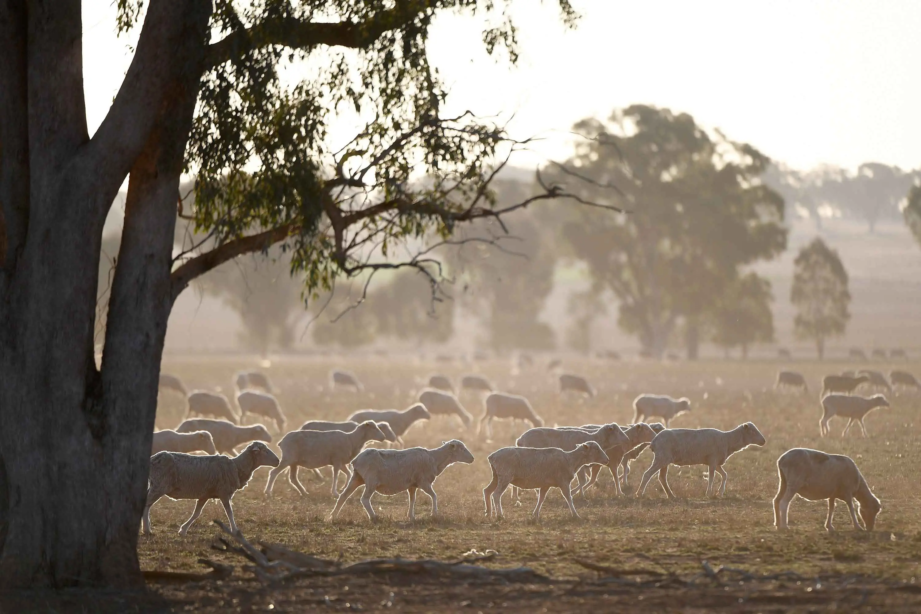 Watchdog flooded with complaints as dry spell persists