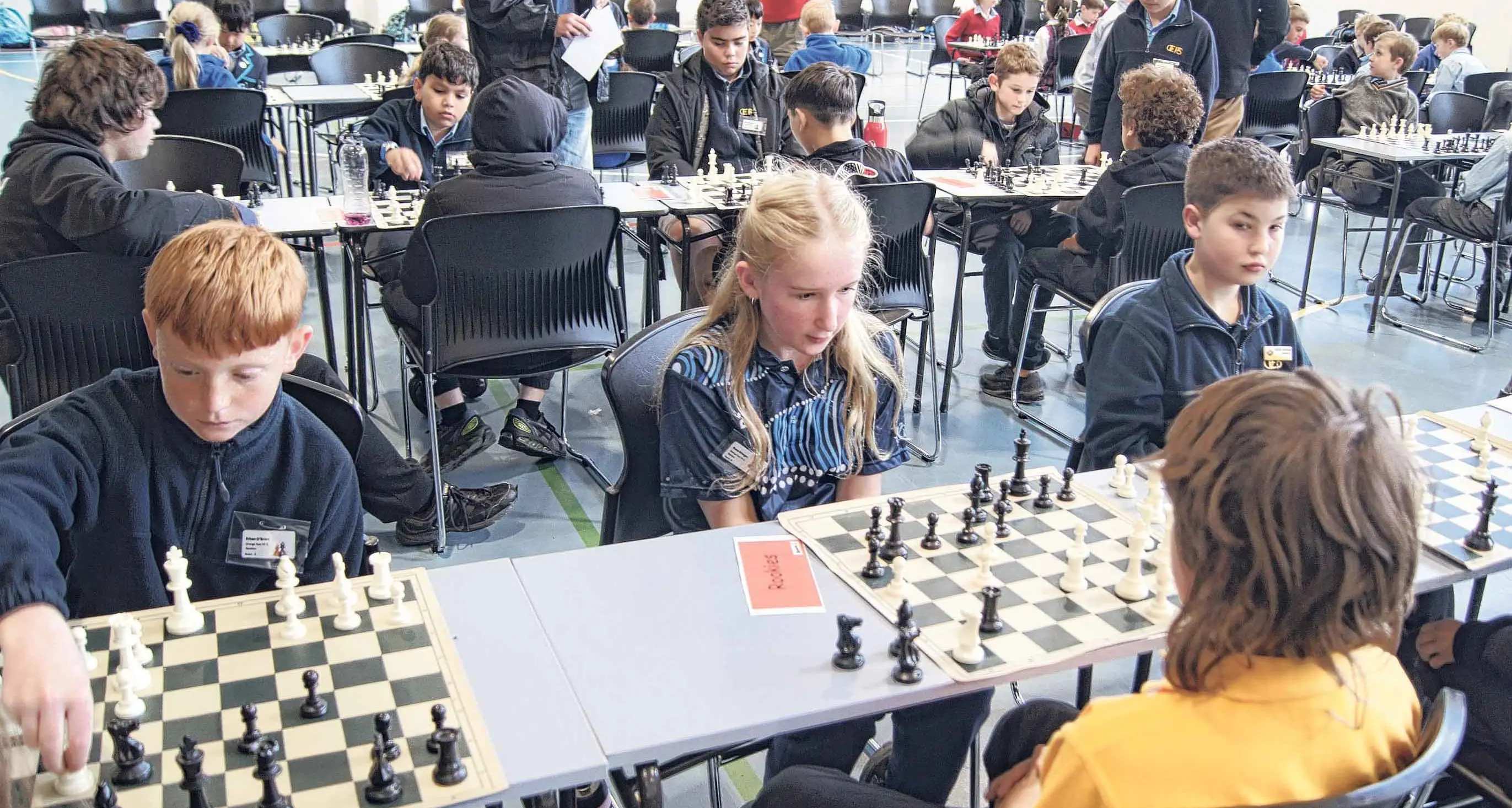 Millthorpe Public dominates regional chess finals