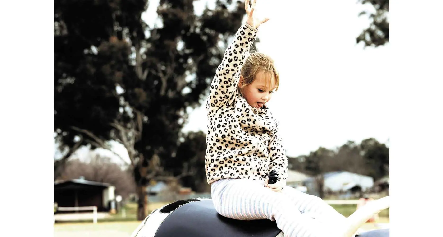 Good old-style country fun at the second 'Back to Buckinbah' Fest