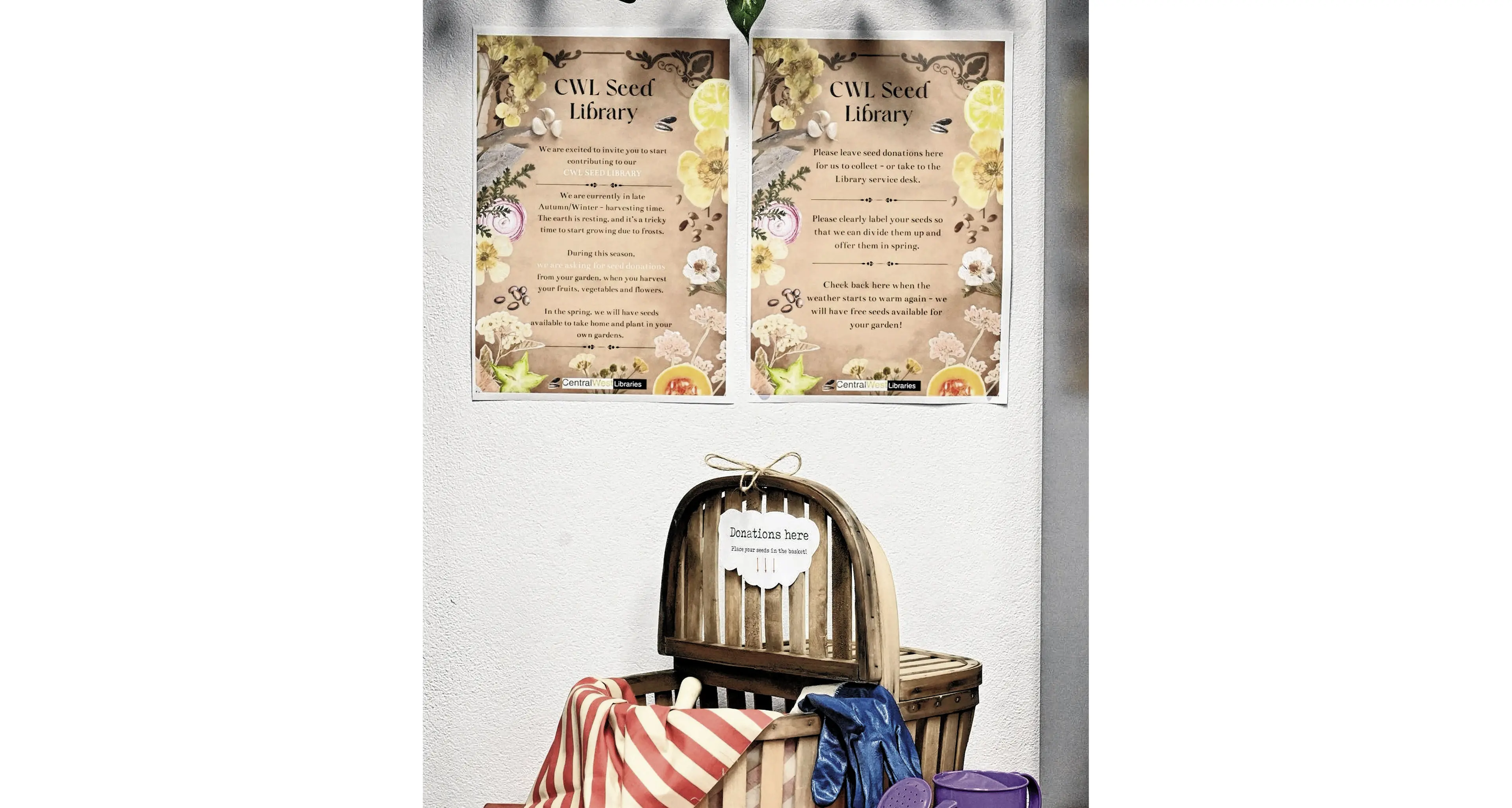 Seed library set to sprout at Orange City Library