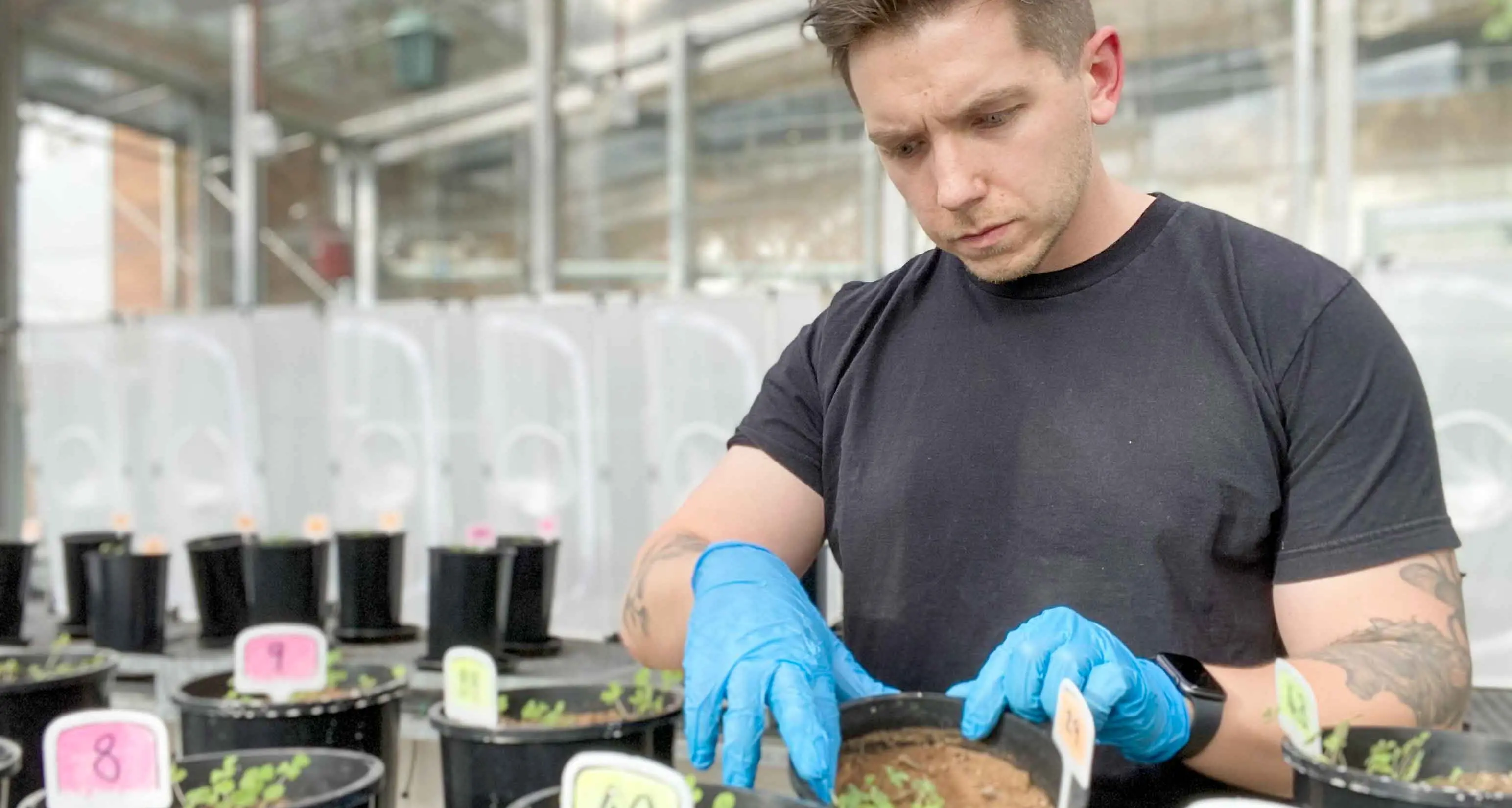 Tiny ancient fungi could slash Aussie fertiliser bill