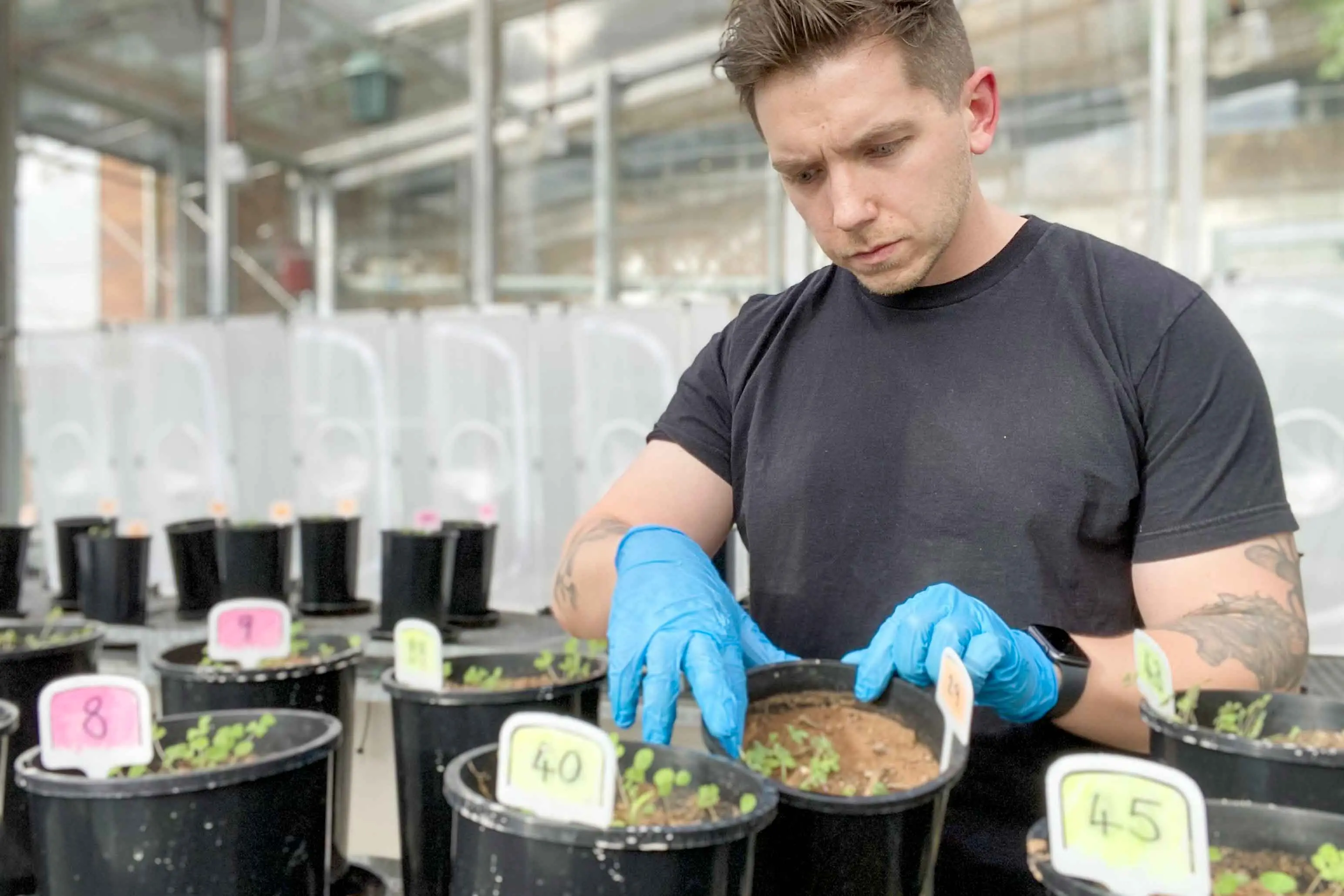 Tiny ancient fungi could slash Aussie fertiliser bill