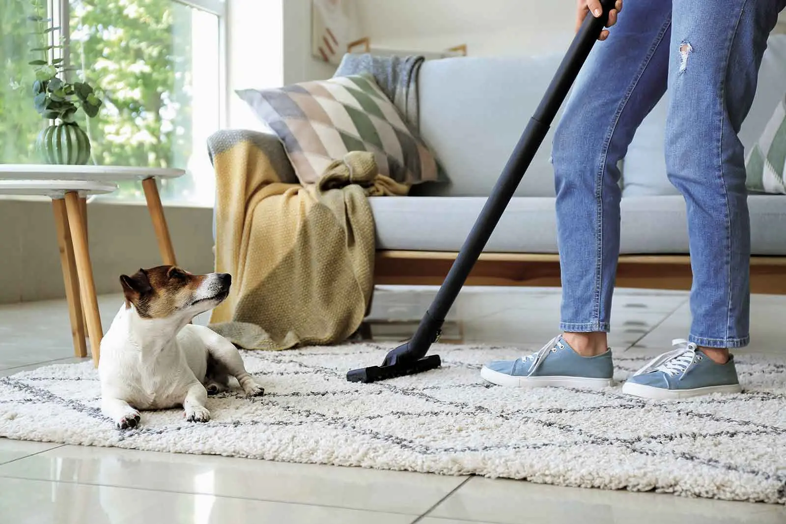 How home-sellers with pets can prepare for inspections