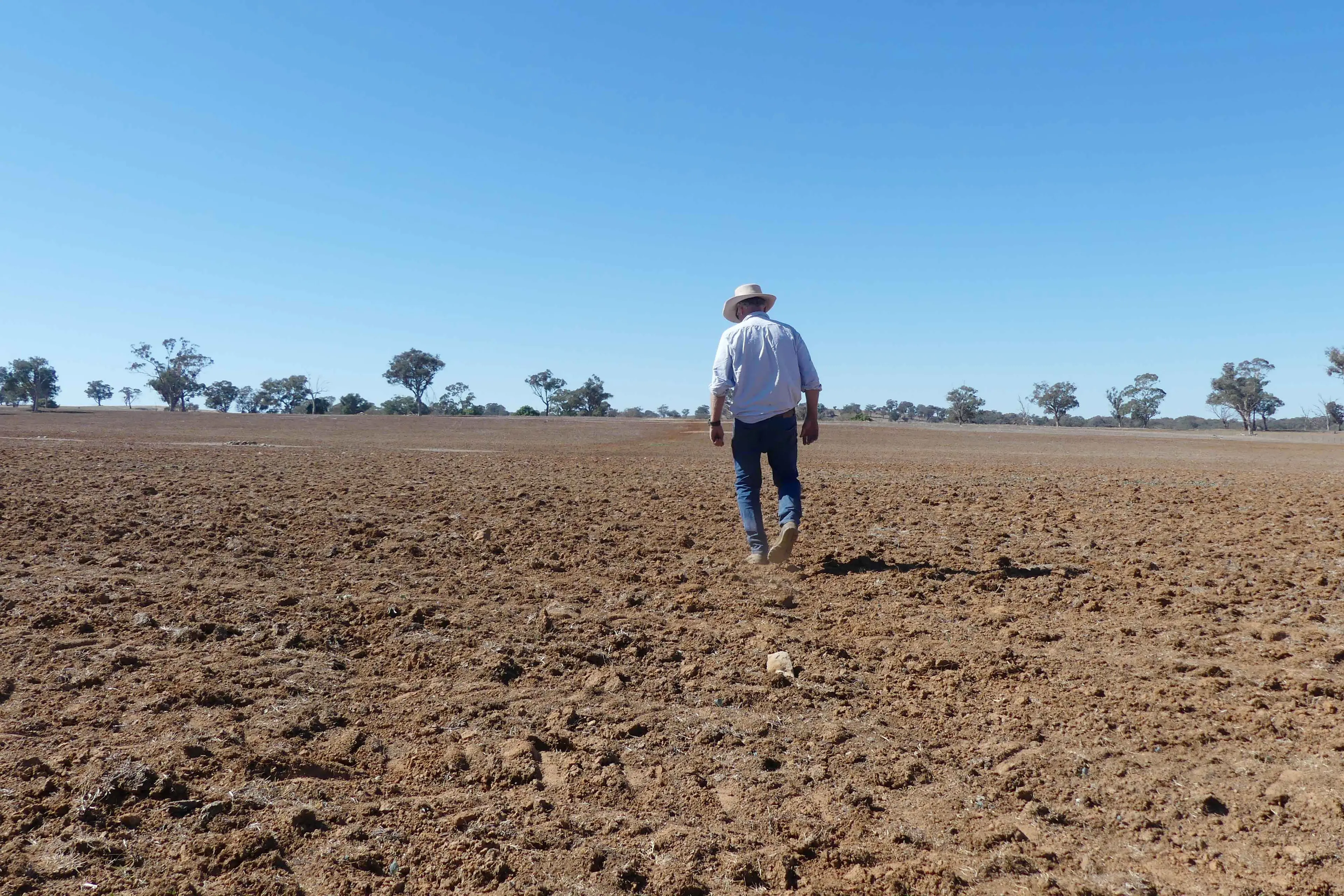 <p>Men in regional Australia are 24 per cent more at-risk following a prostate cancer diagnosis. Photo: AAP</p>\\n