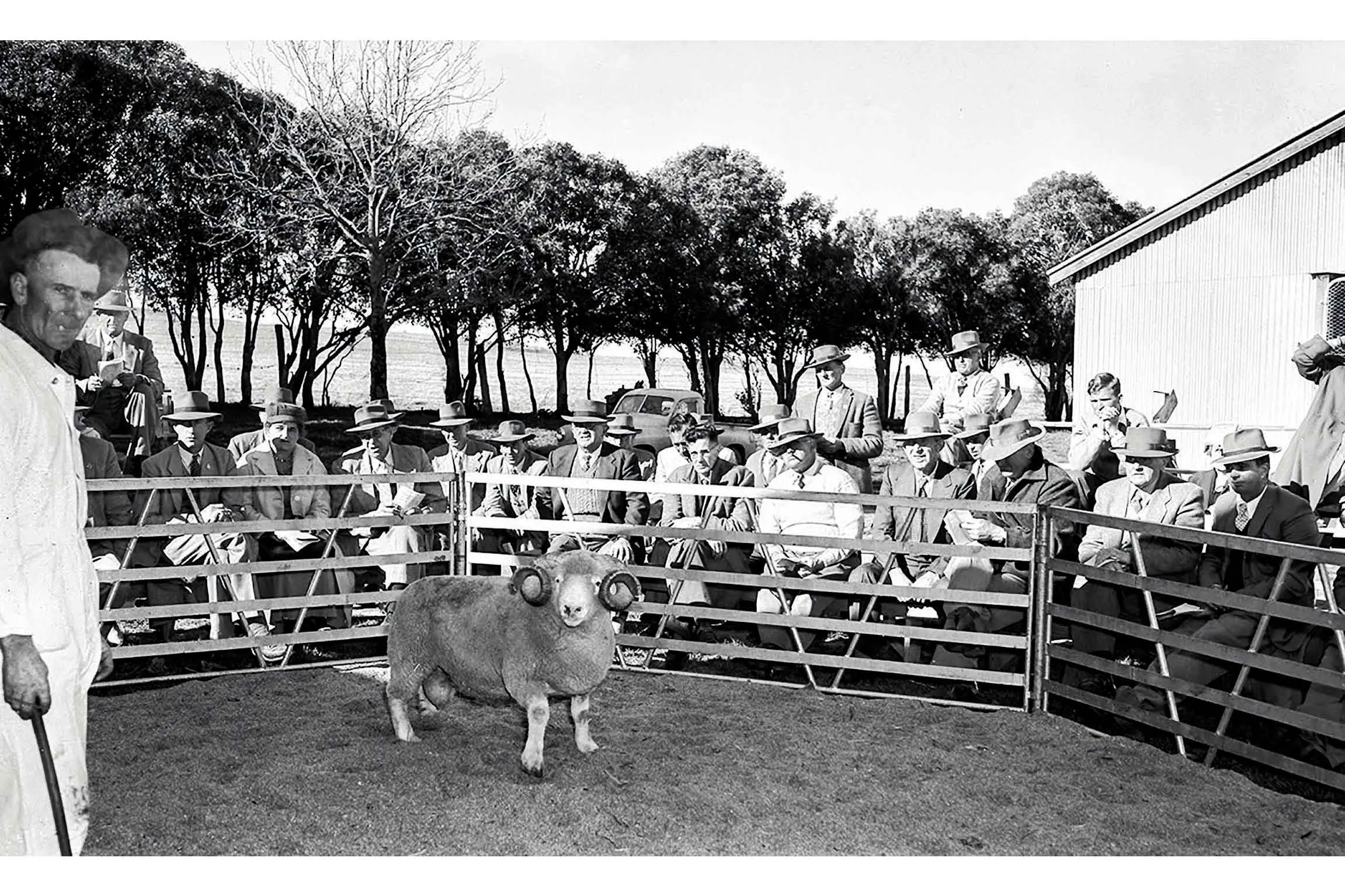 <p>Orange Showground in September 1959. Photo: Supplied. </p>\\n