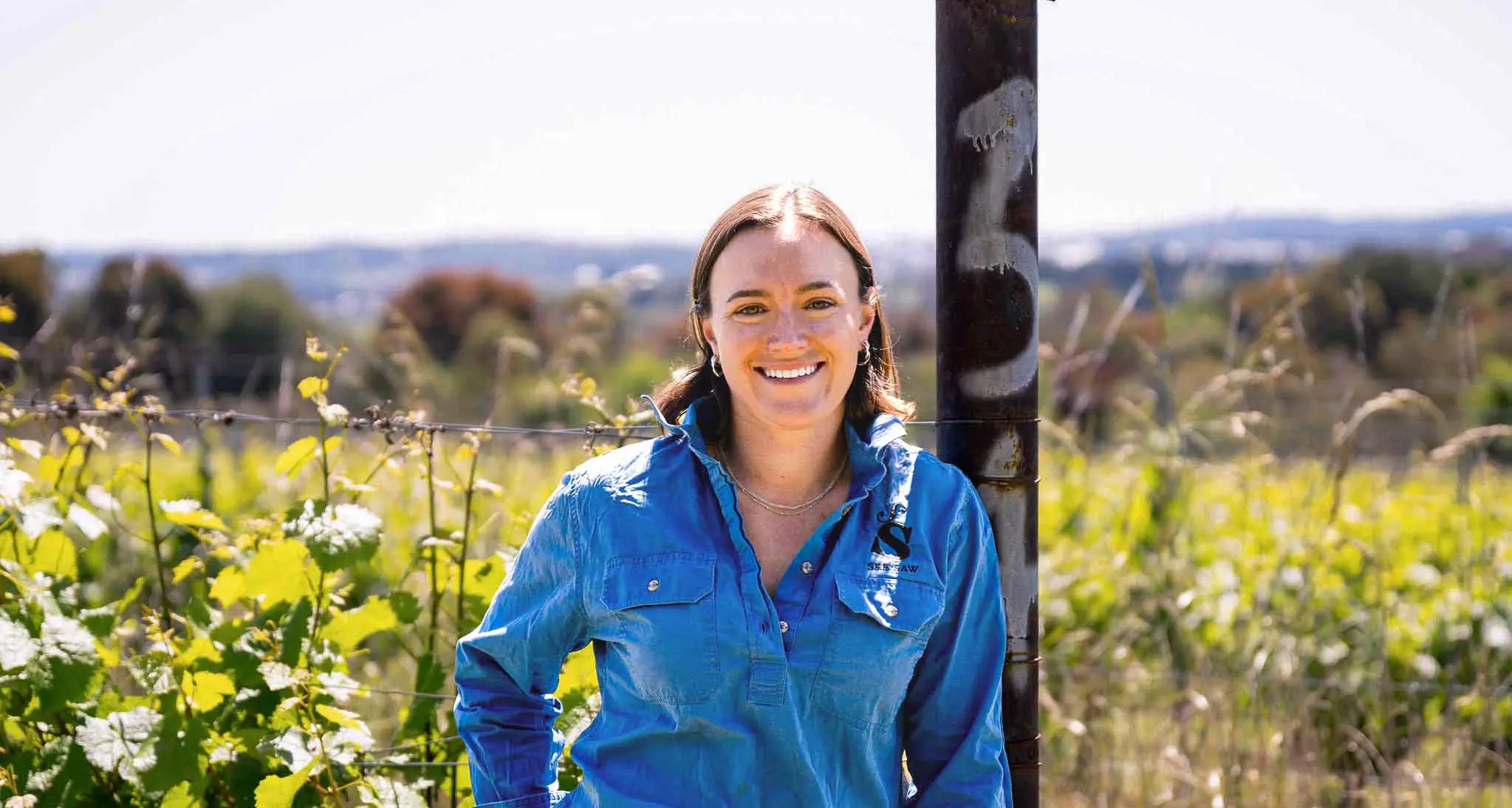 Grapes of math: how solar plus sheep equals good wine