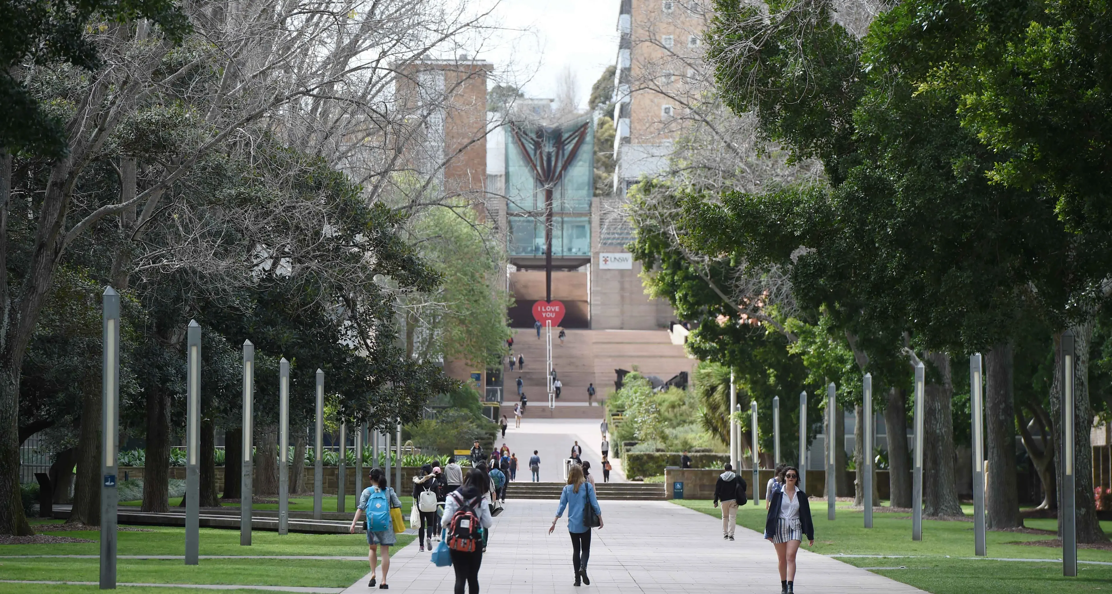 Universities head warns of consequences to student cuts