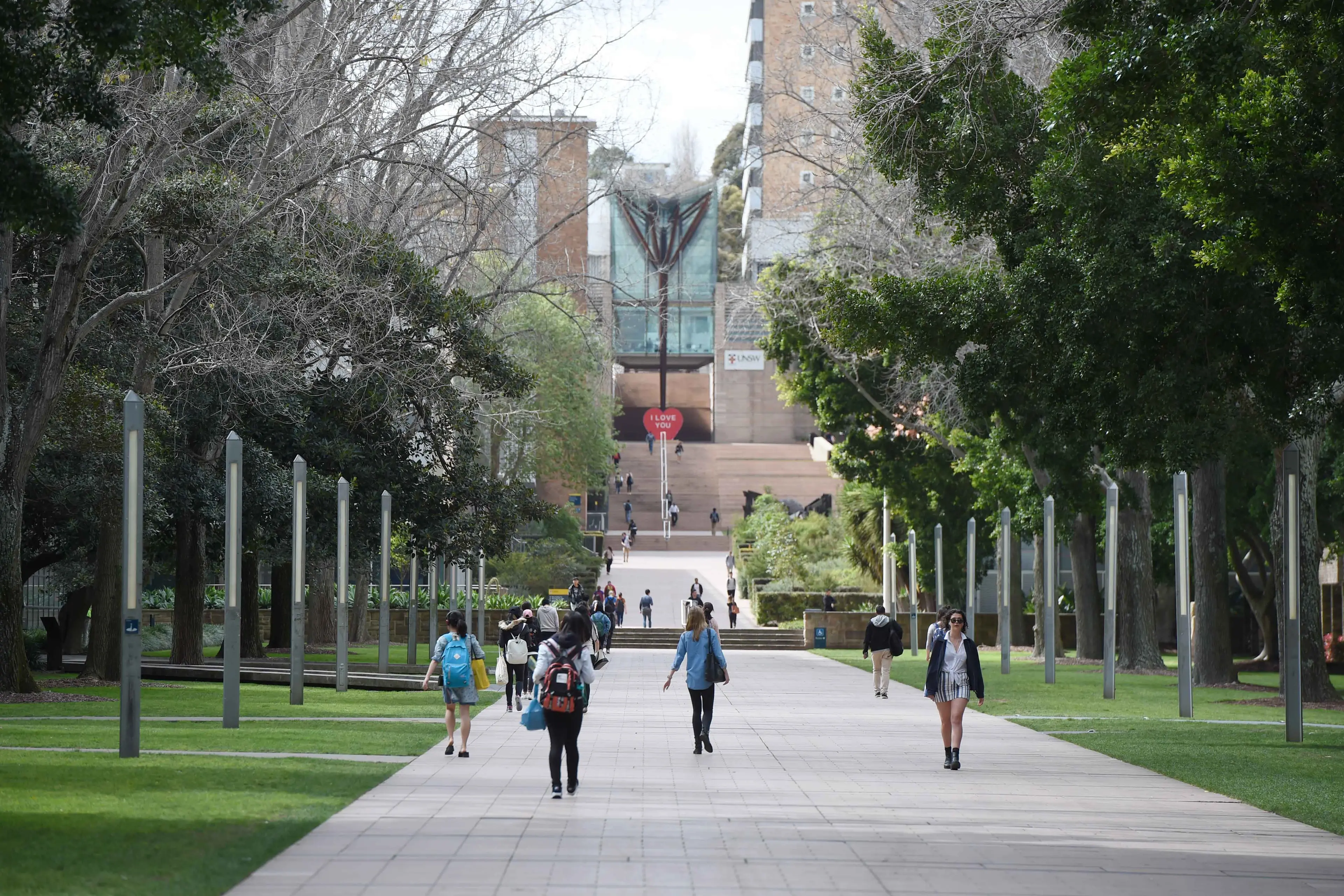 Universities head warns of consequences to student cuts