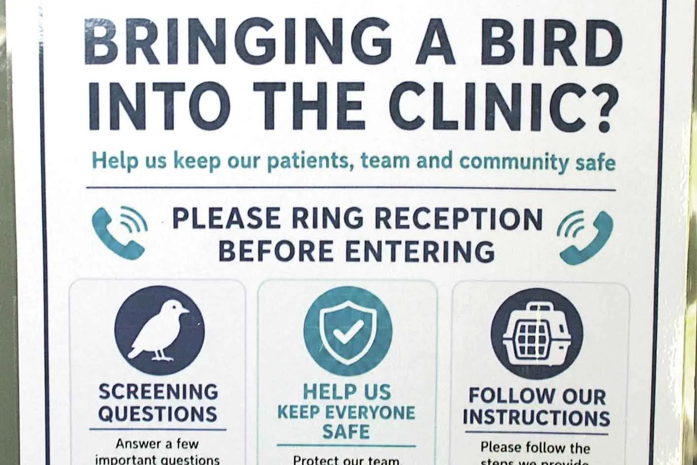 <p>Some local vet facilities are now refusing entry for bird species, whether pets, domestic foul, or wild varieties. Photo: Orange City Life.</p>\\n