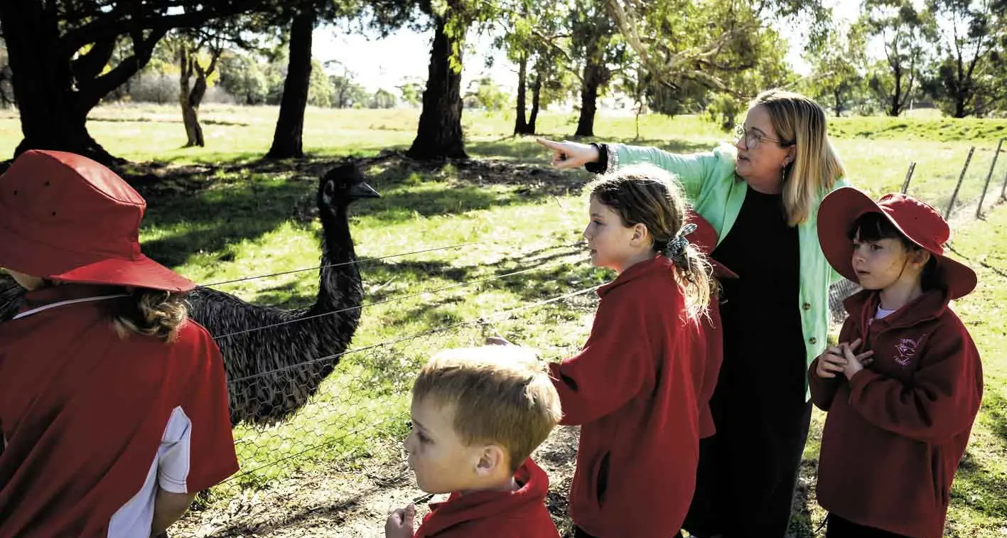 Small can be exceptional: Take a look at Spring Terrace Public School