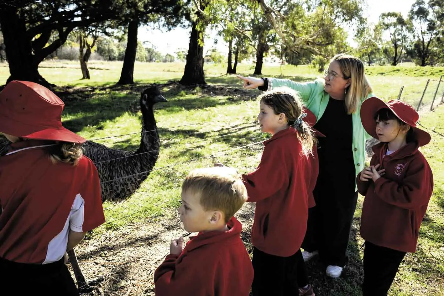 Small can be exceptional: Take a look at Spring Terrace Public School