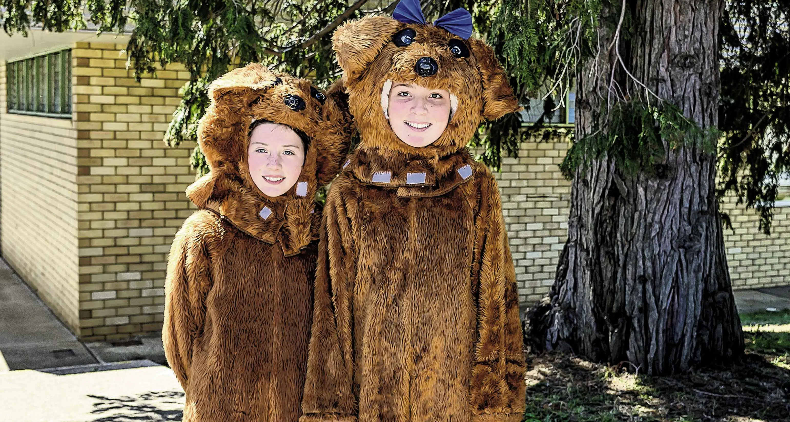 It's a teddy bears picnic!