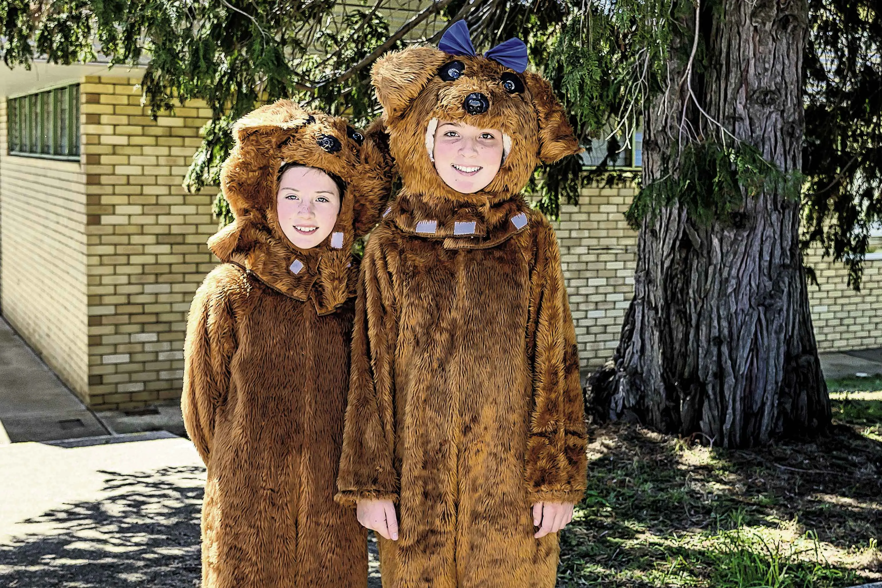 <p>A Teddy Bears\\u2019 Picnic at Calare Public School. Photo: Orange City Life. </p>\\n