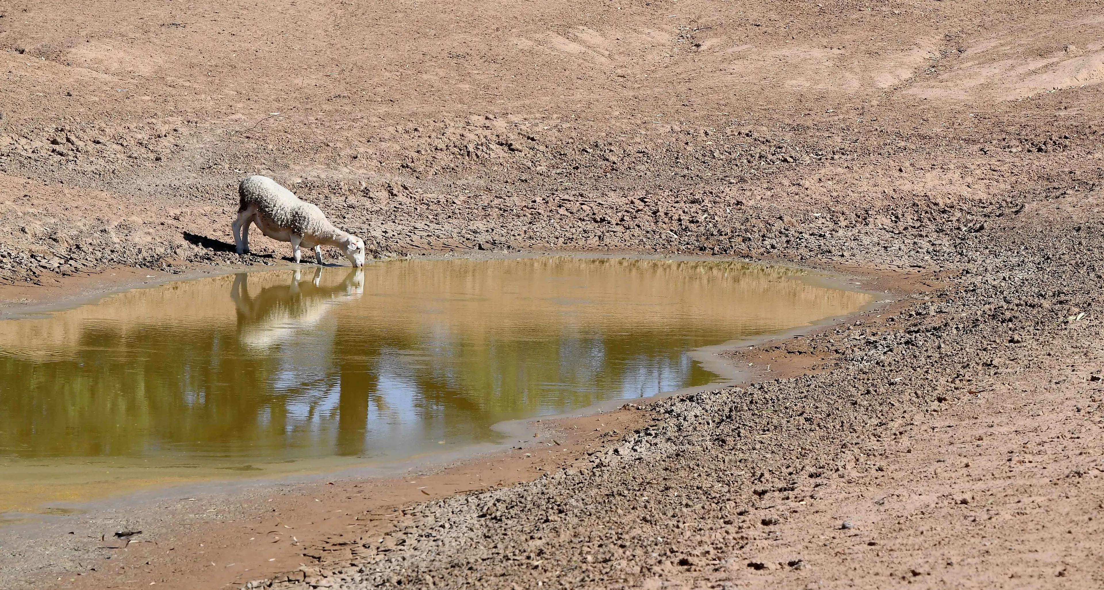 Warning El Nino could wipe $13b from Australian economy