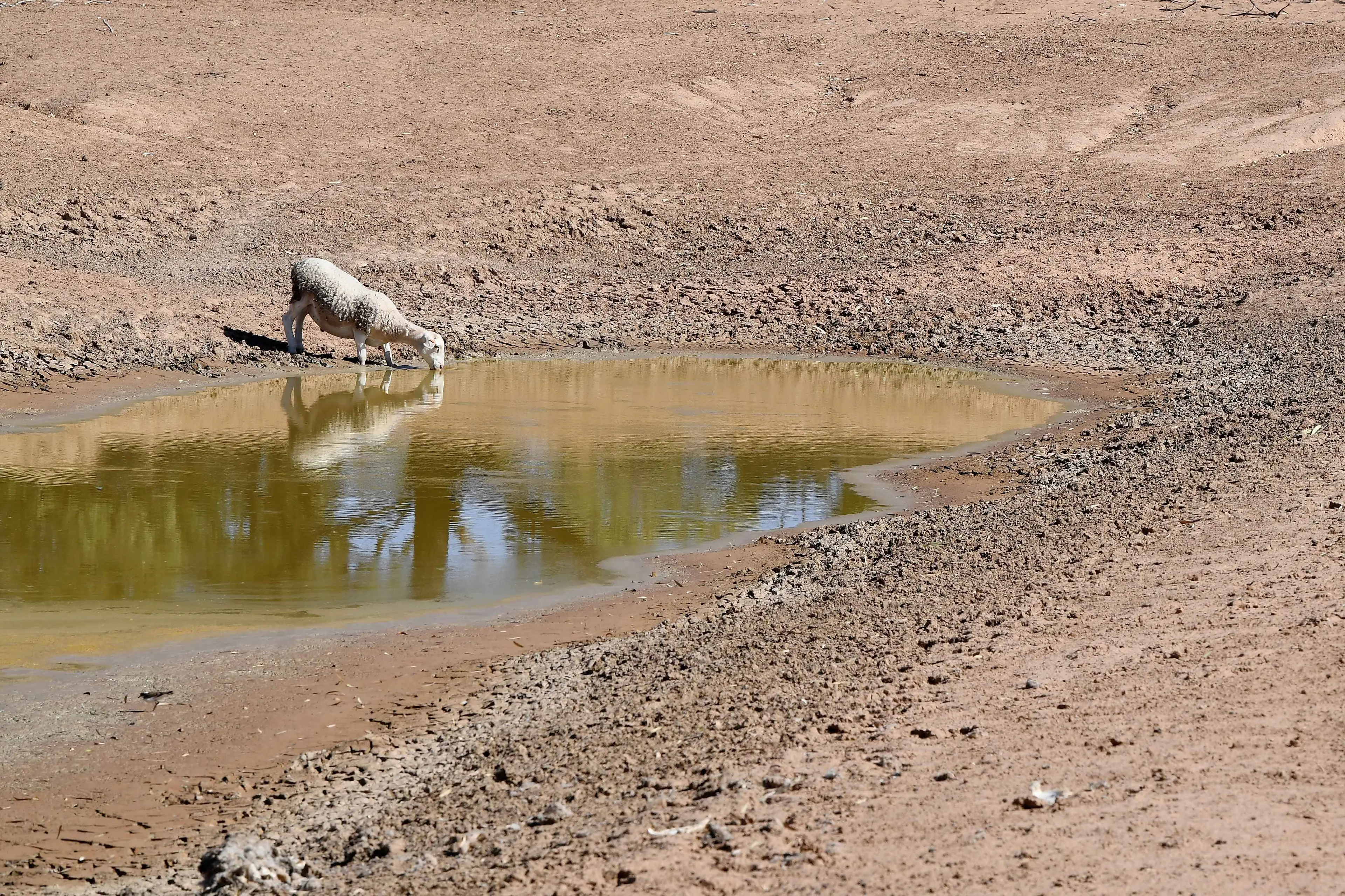 Warning El Nino could wipe $13b from Australian economy