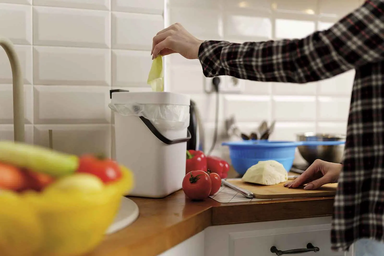 Small bin, big difference: Smart ways to manage food scraps at home