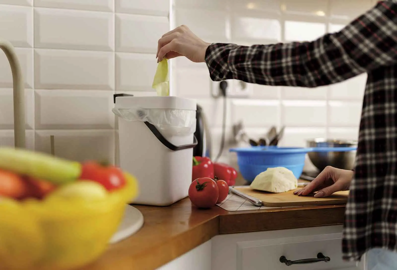 Small bin, big difference: Smart ways to manage food scraps at home
