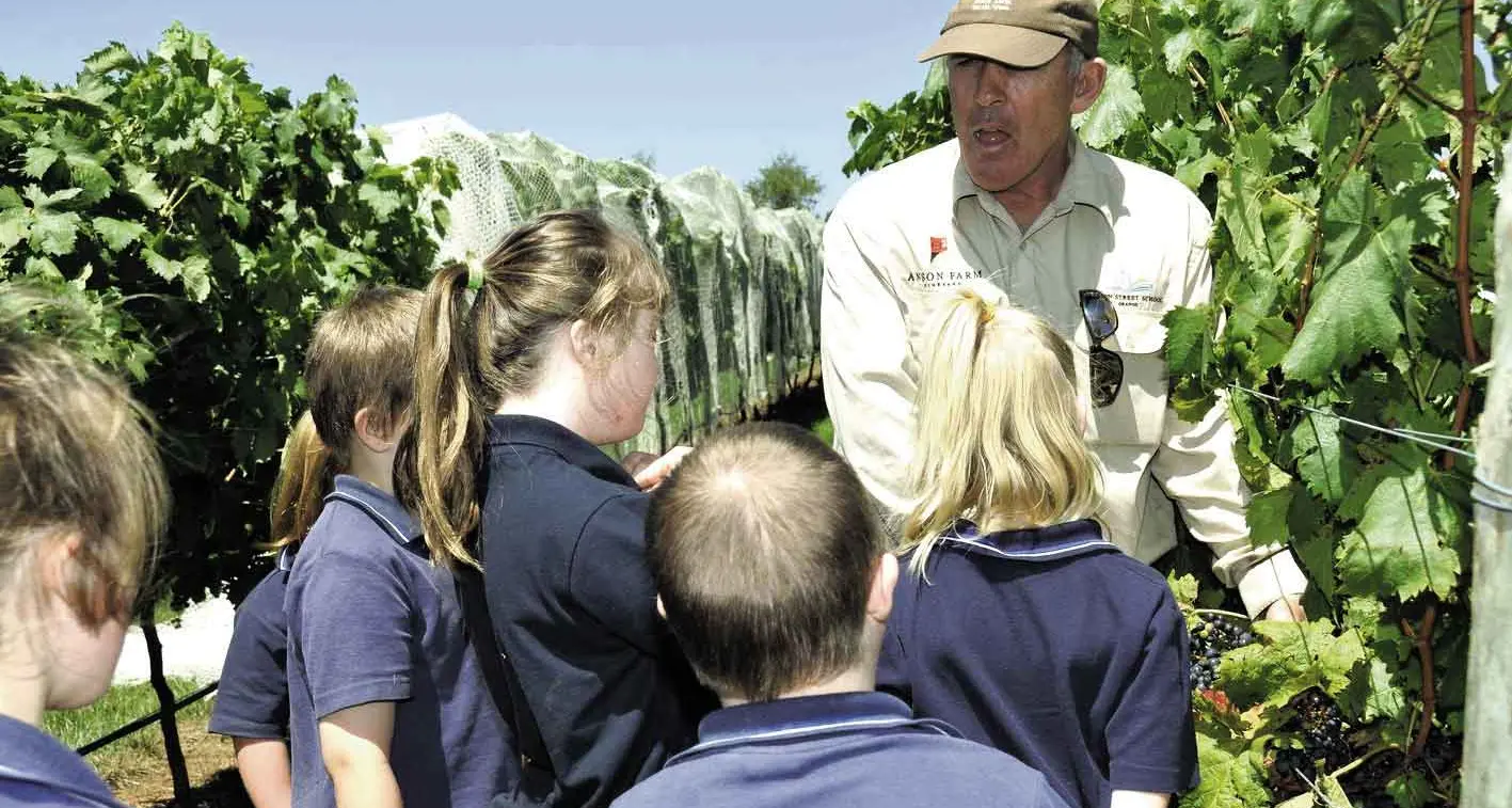 Shining vines to celebrate Anson Street’s six decades of success