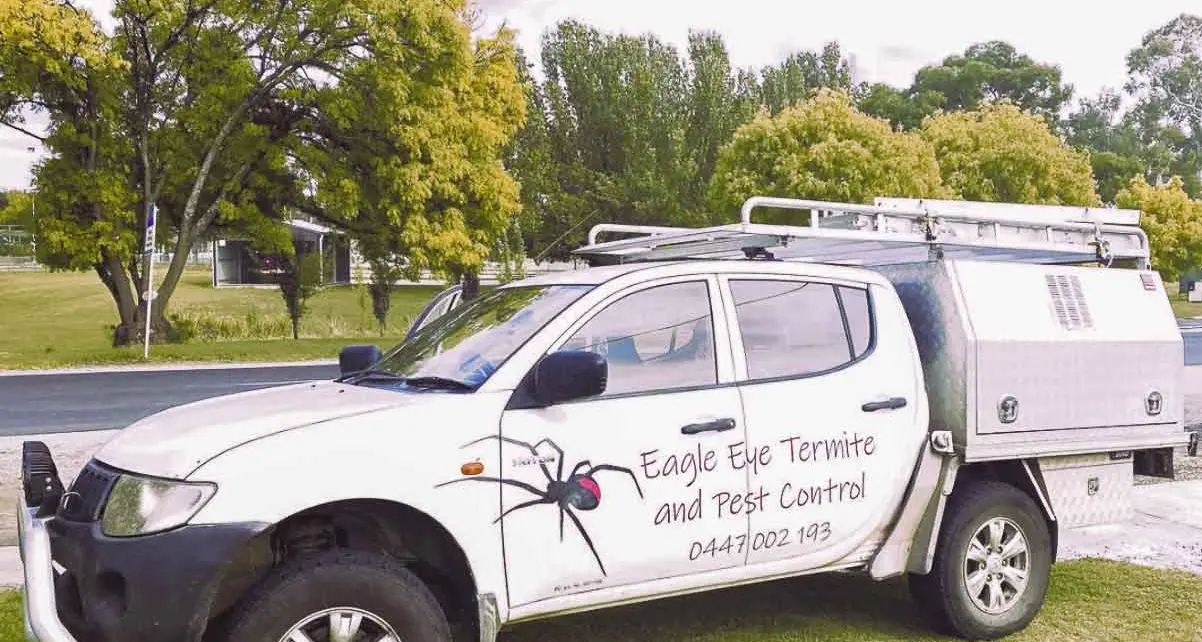 Call the “eagle-eyed” pros to remove your problem insect and pest species