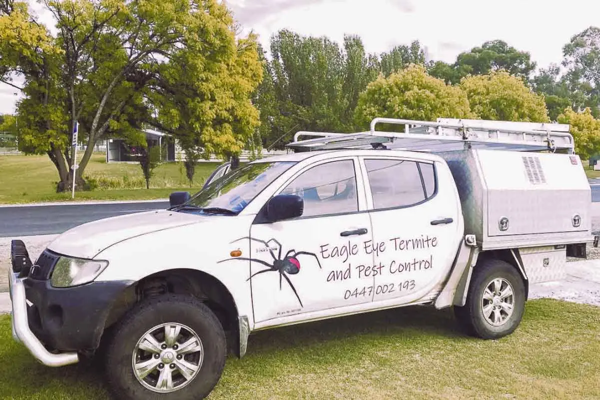 <p>Eagle Eye Termite and Pest Control has spent 25 years dealing with some of our most persistent and dangerous insect and pest species. Photo: Supplied. </p>\\n