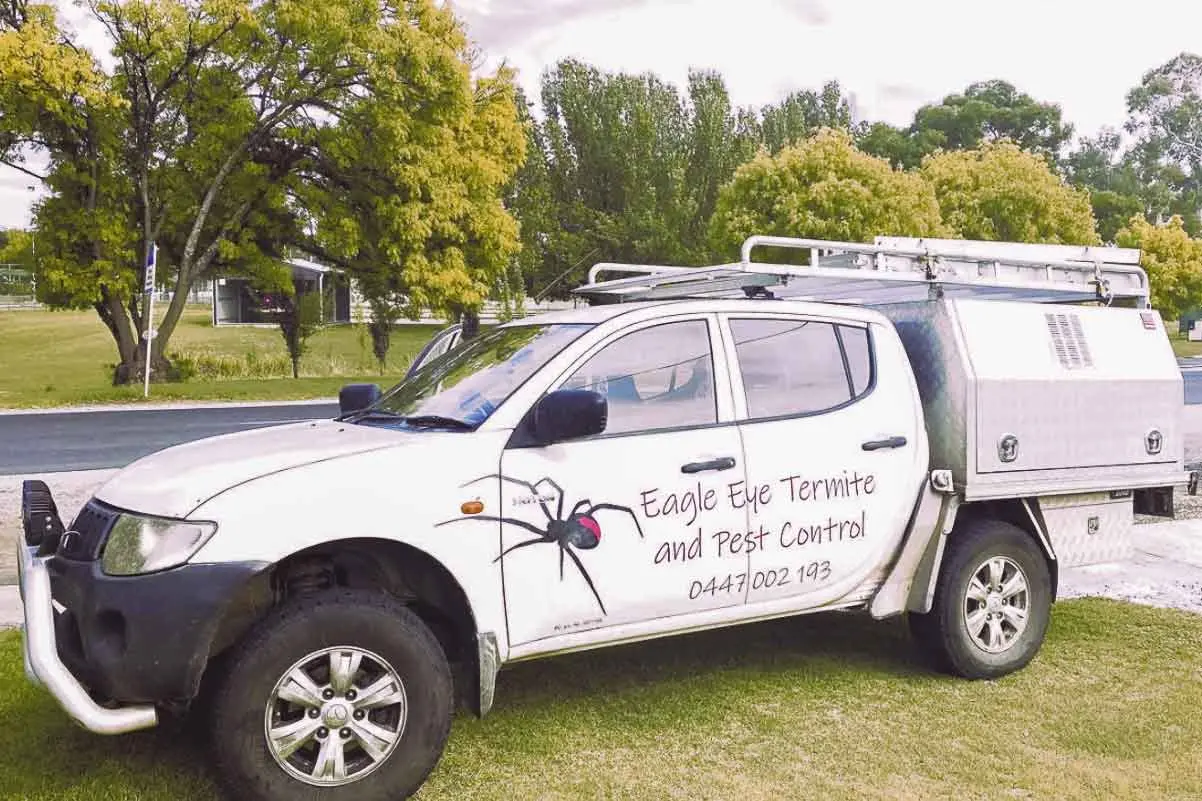 Call the “eagle-eyed” pros to remove your problem insect and pest species