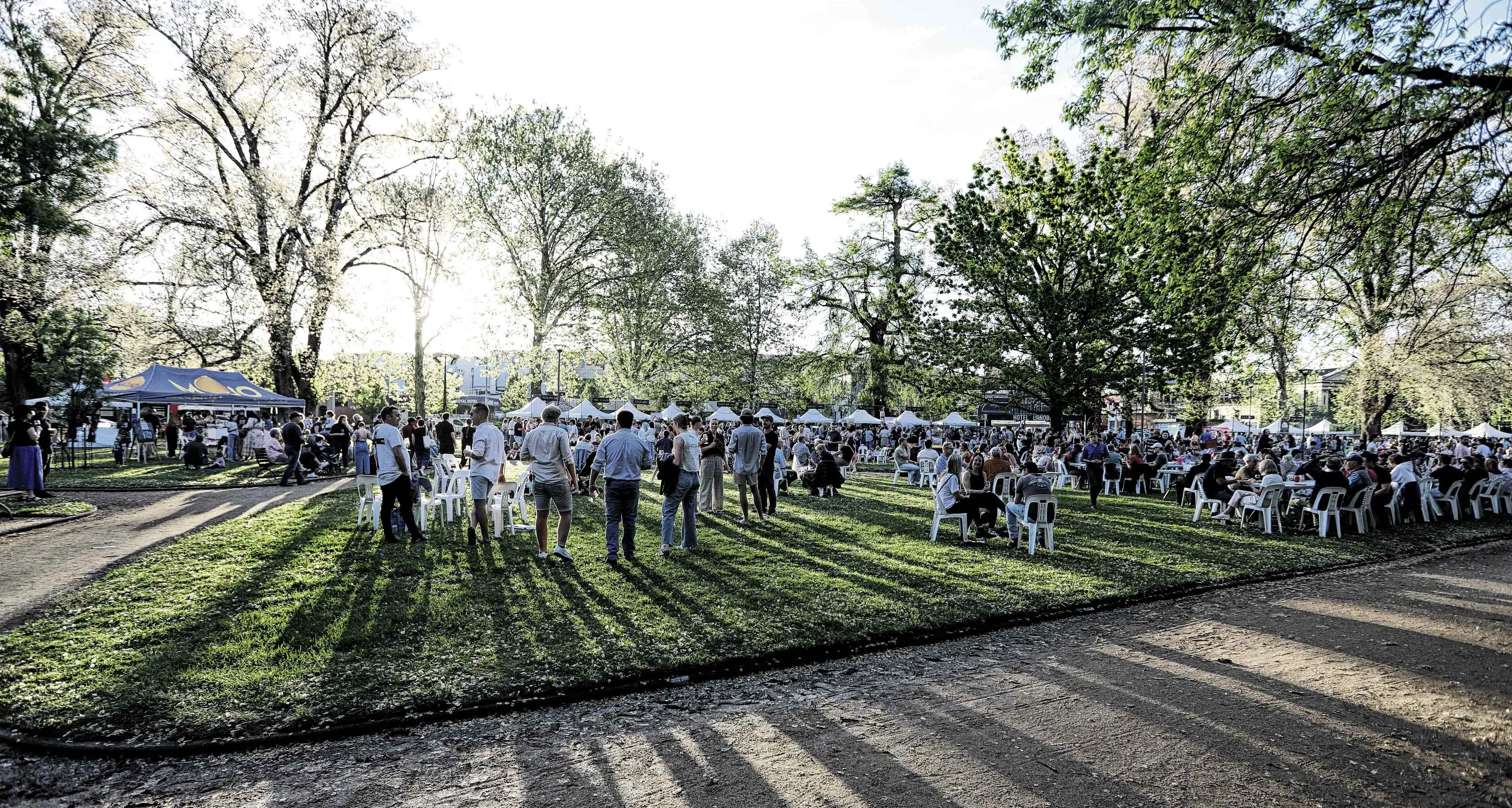 New quest gets the best out of the Orange Wine Festival