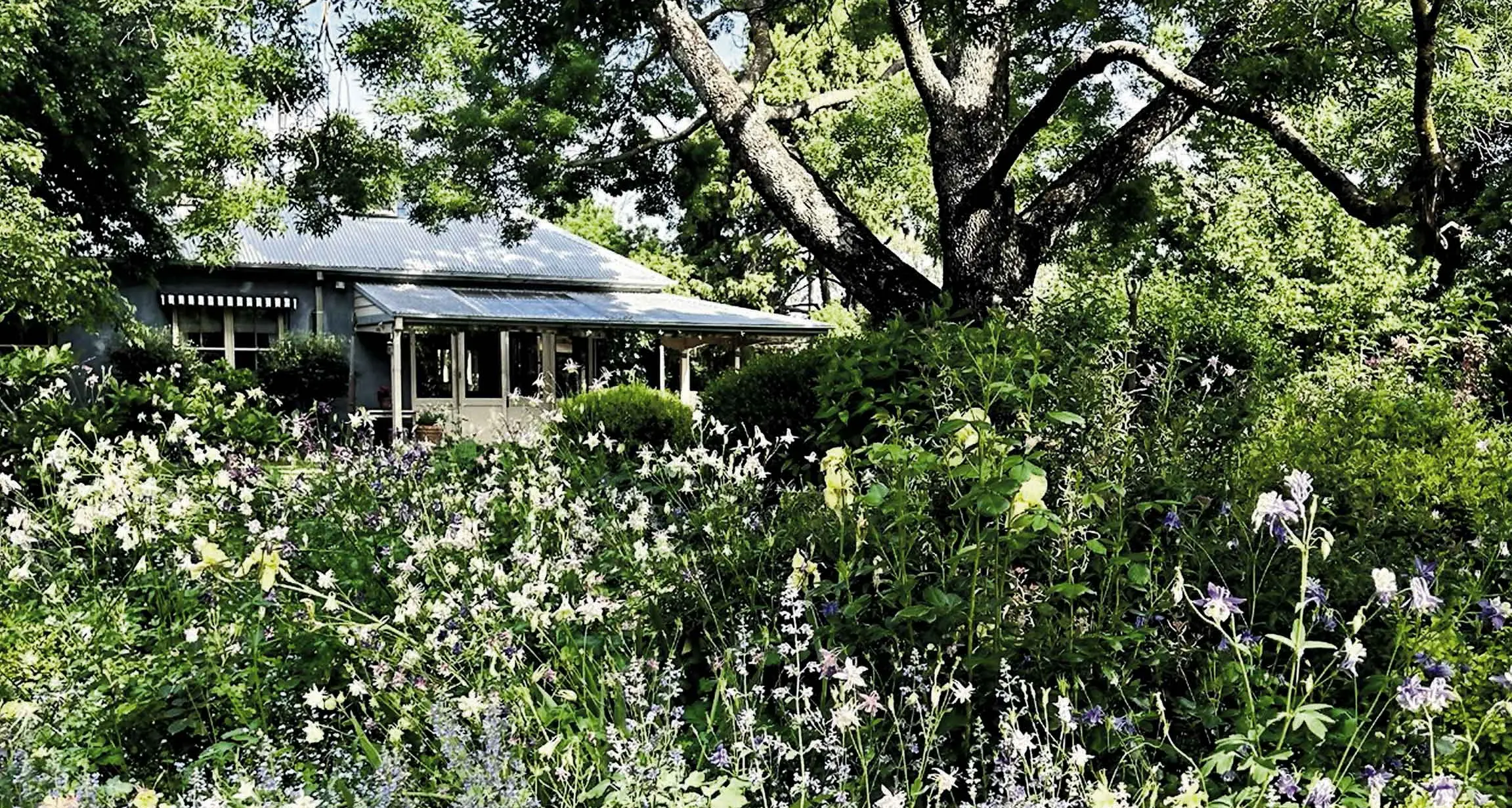 Sneak peek at the 2026 Orange Open Gardens