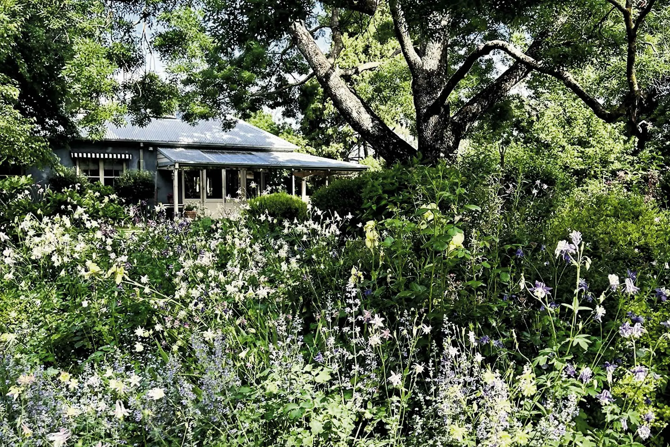 Sneak peek at the 2026 Orange Open Gardens