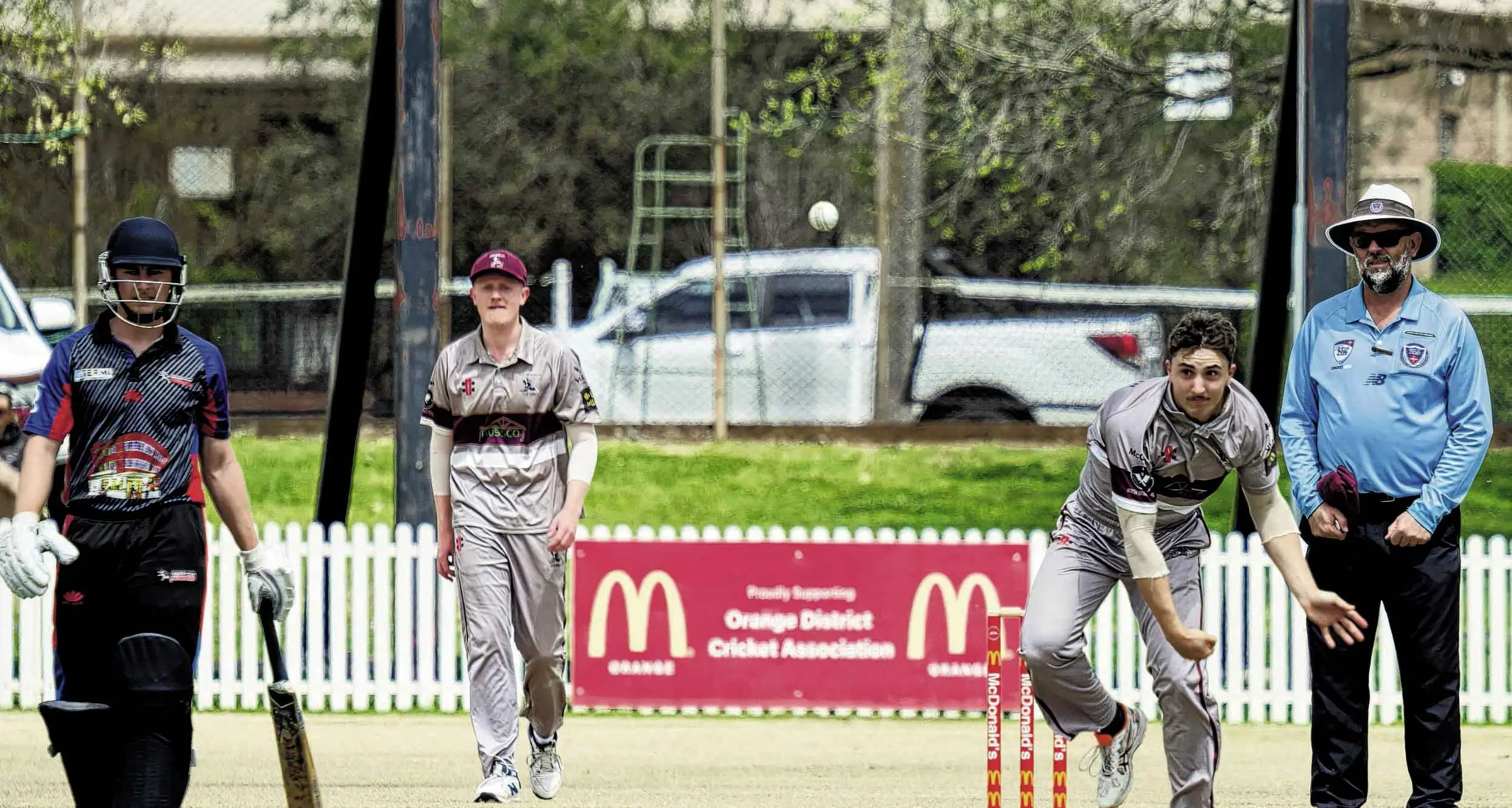 Cricket season underway!