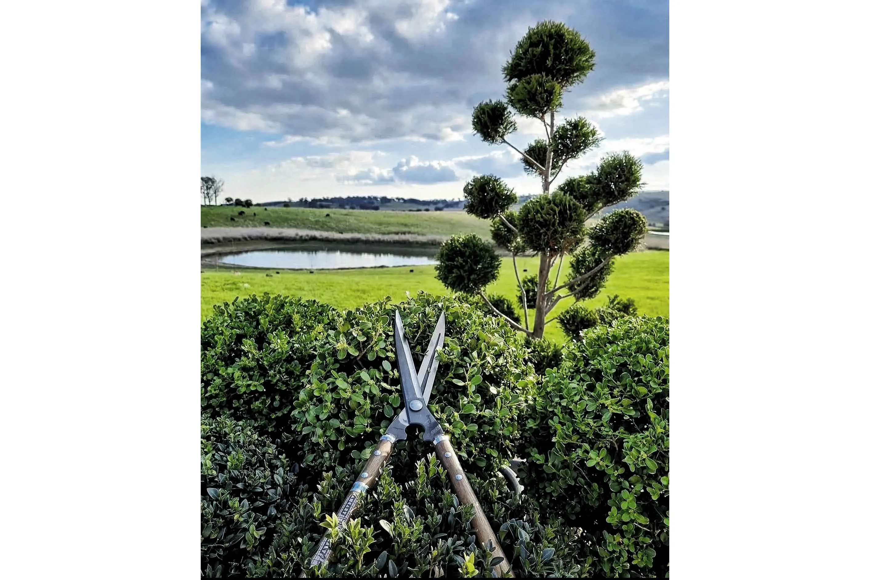 <p>It\\u2019s a new beginning for Millthorpe\\u2019s Garden Ramble with a variety of first-ever town and country entries on show for the famous local event\\u2019s third decade.</p>\\n