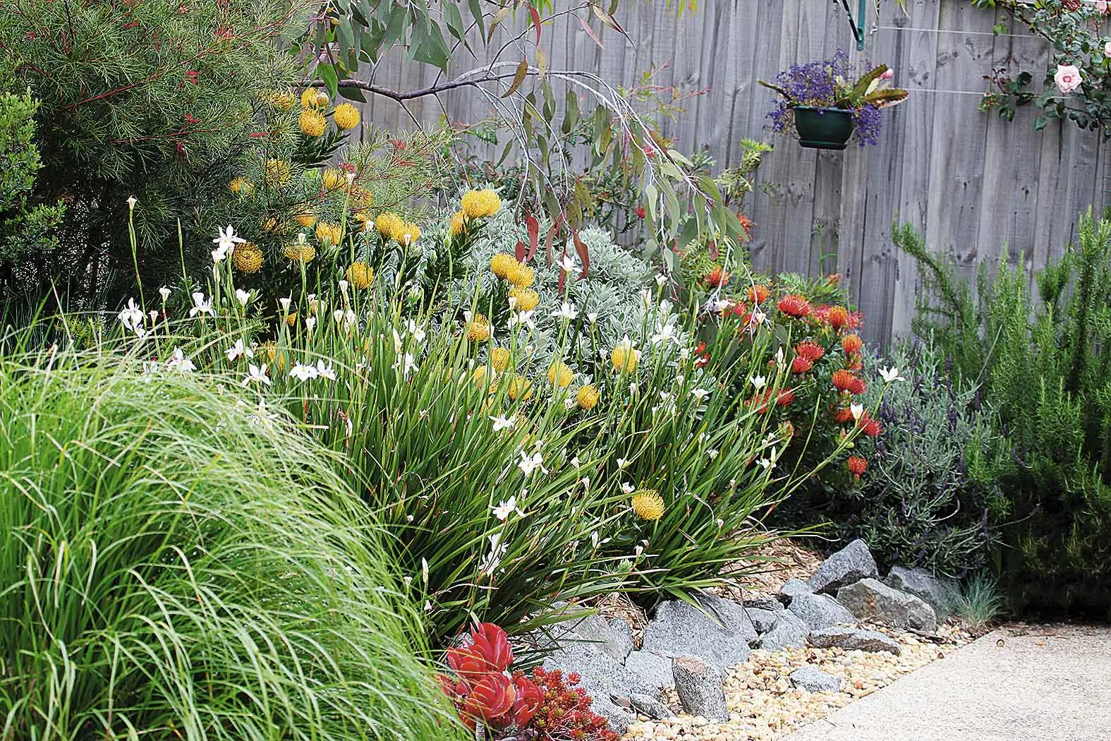 <p>Contrasting colours, foliage and shapes can create an appealing garden. Climate-conscious planting and minimising paving can add practical benefits. Photo: Bigstockphoto</p>\\n
