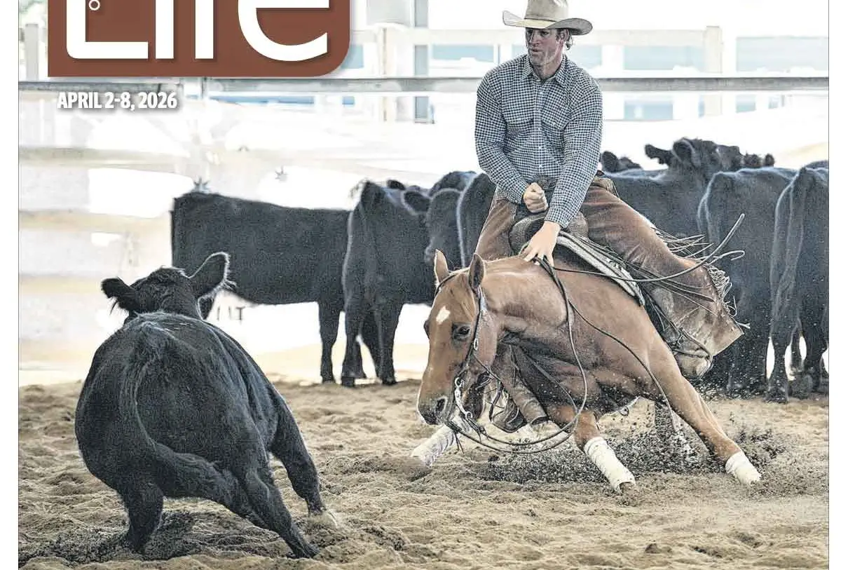 Orange City Life, 02/04/2026